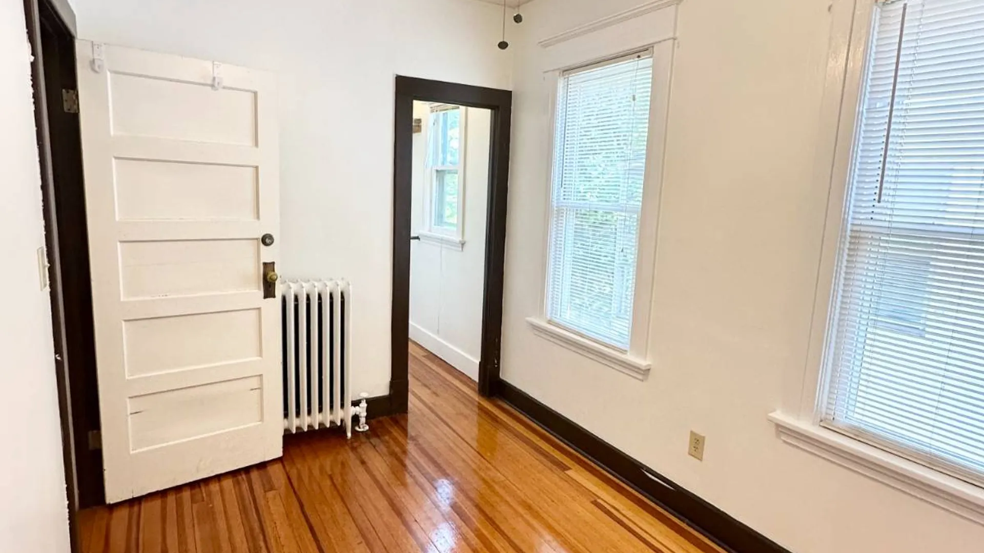 Property at 423 Hamilton St, Albany, NY 12203 15