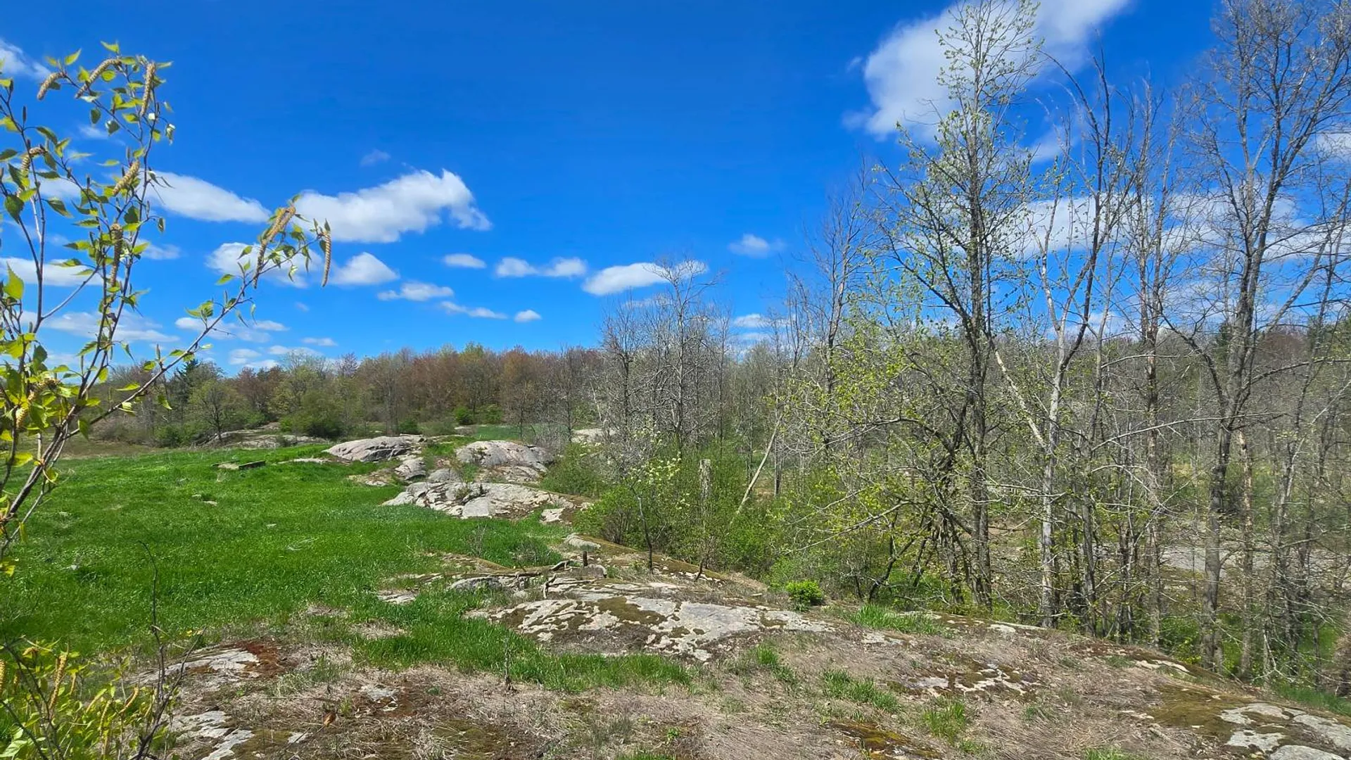Property at 00 Cooper Rd, Hammond, NY 13646 26