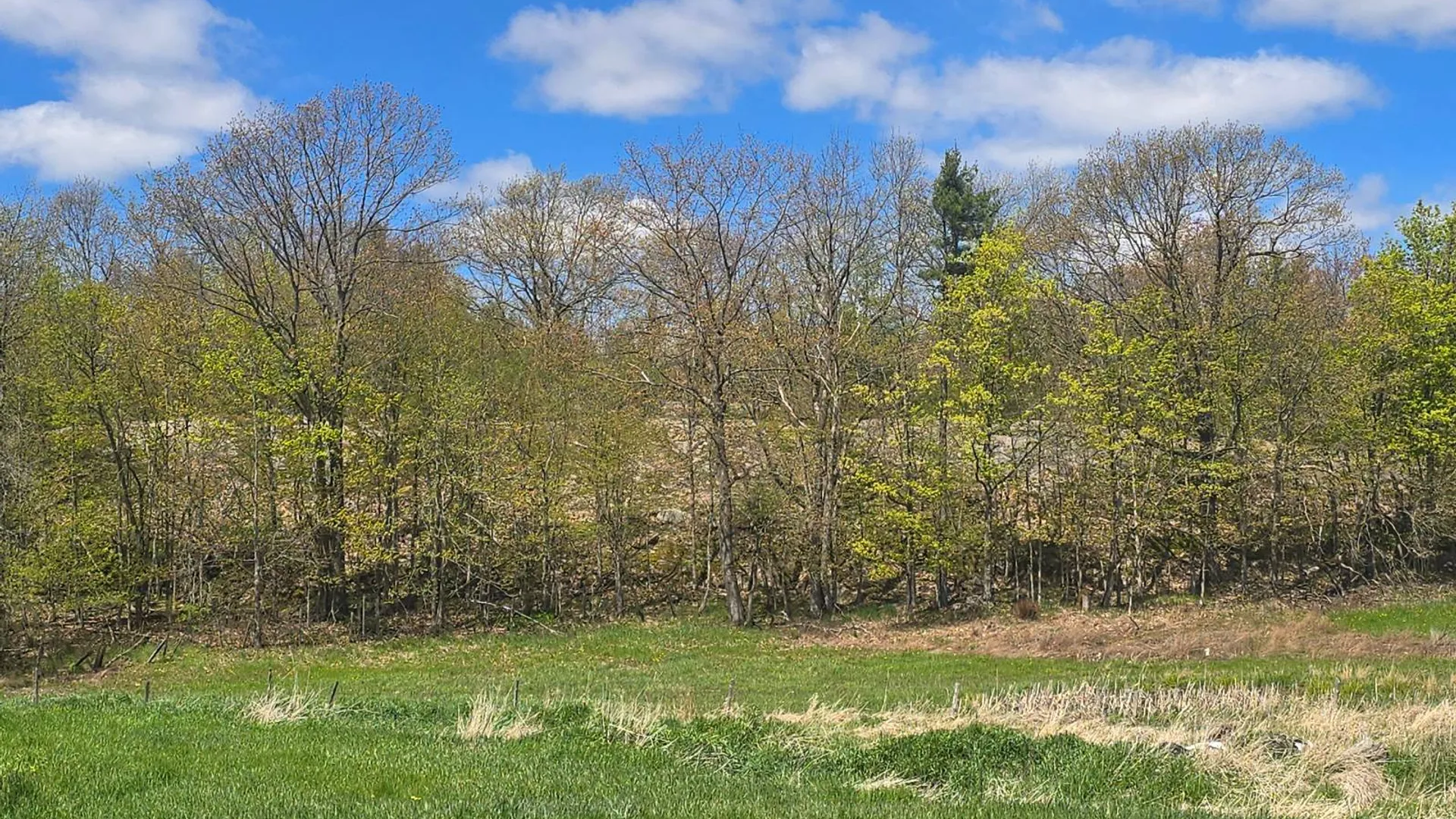 Property at 00 Cooper Rd, Hammond, NY 13646 40