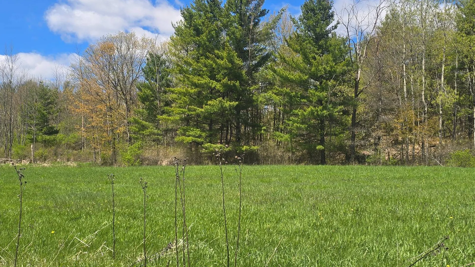 Property at 00 Cooper Rd, Hammond, NY 13646 13