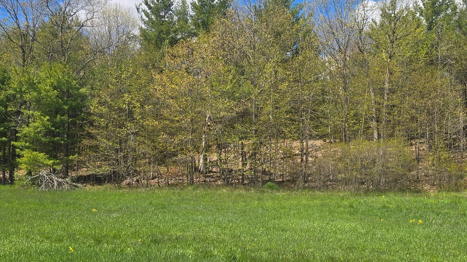 Property at 00 Cooper Rd, Hammond, NY 13646 18