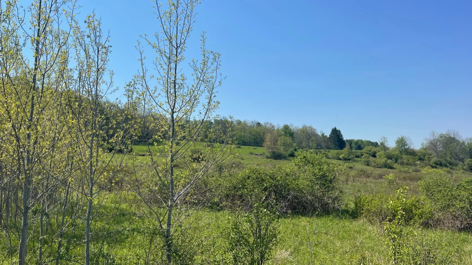 Property at 0 Acorn Ln, Oxford, NY 13733 2