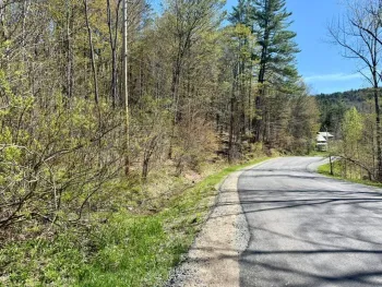 Property at 299 & 331 Page Street, Lake Pleasant, NY 12108