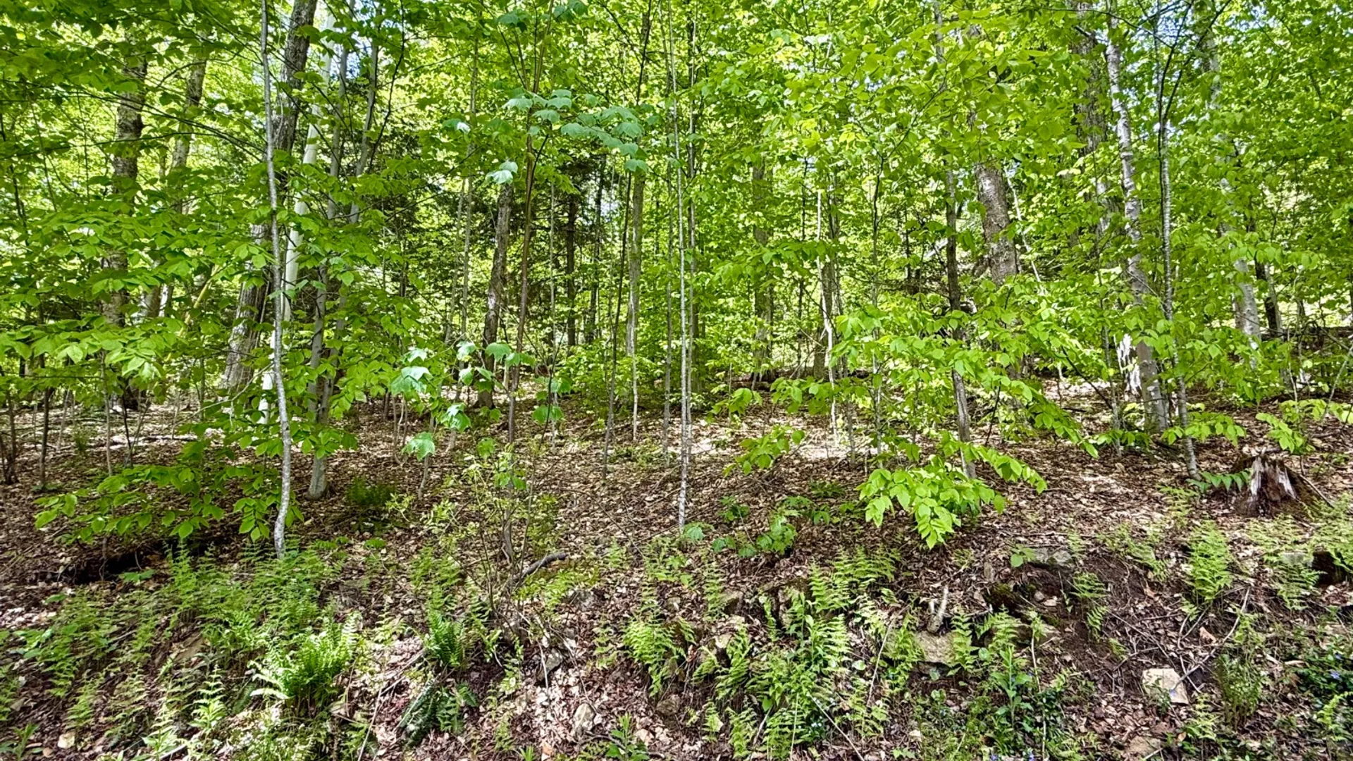 Property at 1155 Old Piseco Road, Piseco, NY 12139 44