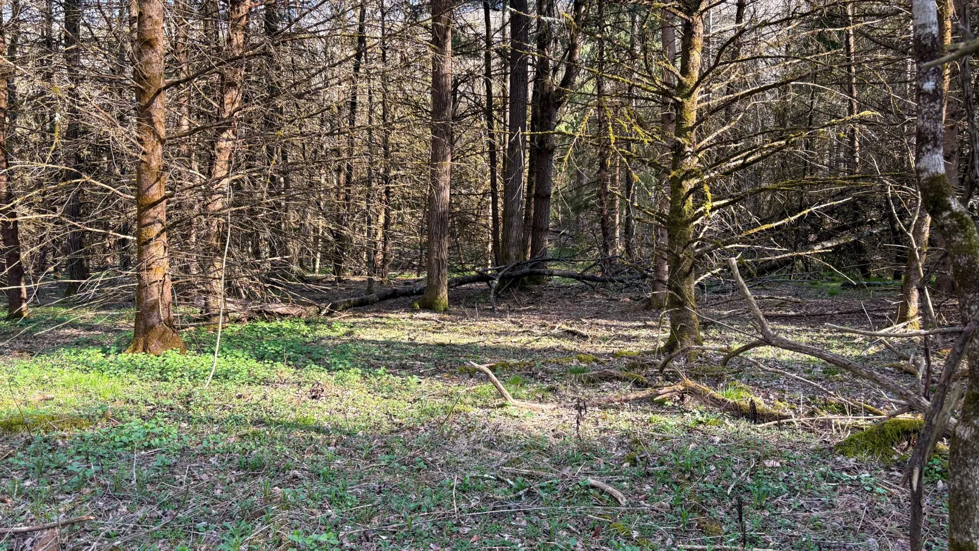 Property at 01 West Branch Angler Way, Hancock, NY 13783 7