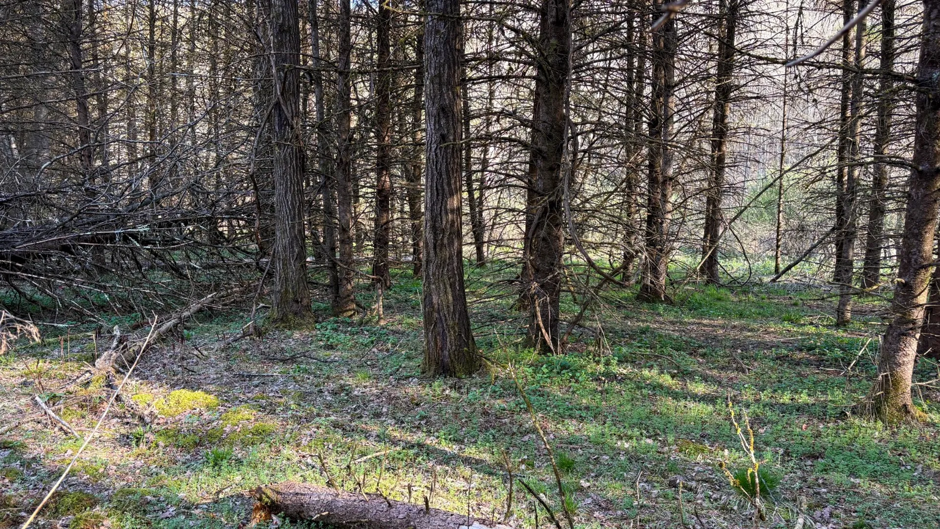 Property at 01 West Branch Angler Way, Hancock, NY 13783 8