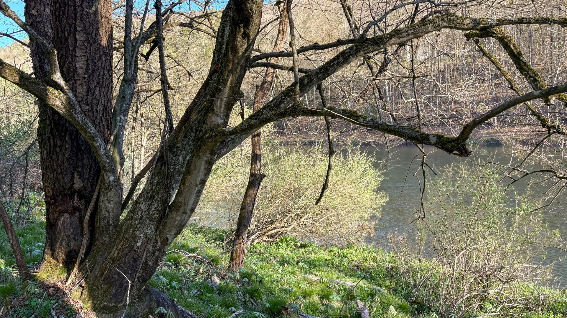 Property at 01 West Branch Angler Way, Hancock, NY 13783 9