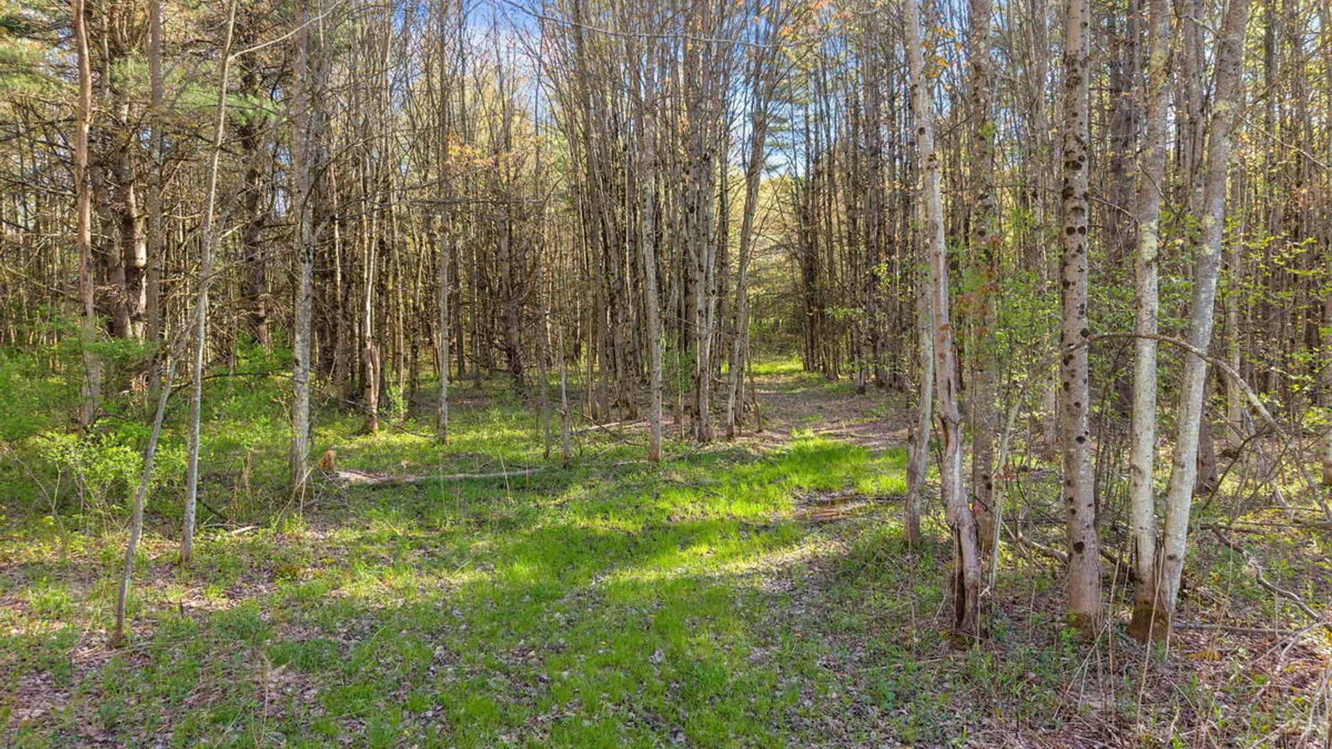 Property at 1054 Esperance Road, Charleston, NY 12066 39