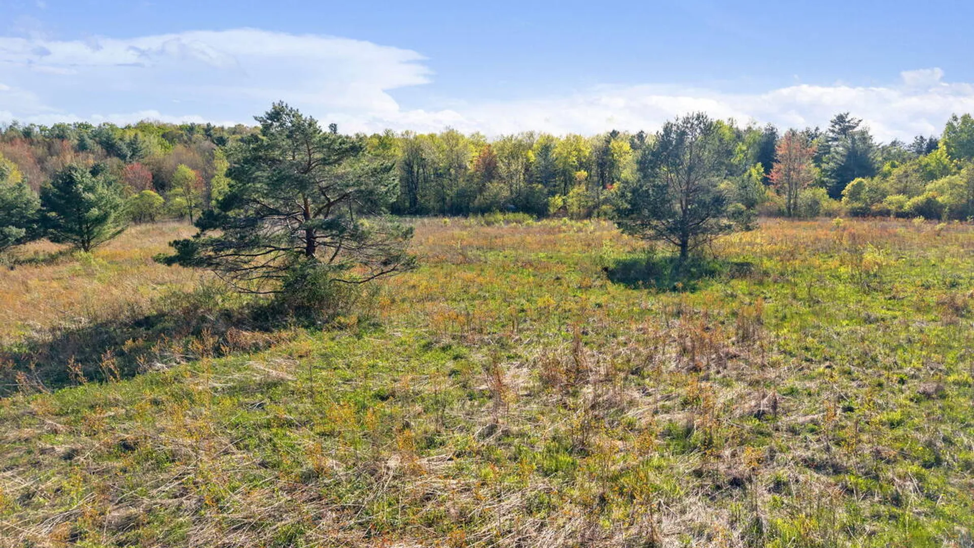 Property at 1054 Esperance Road, Charleston, NY 12066 42