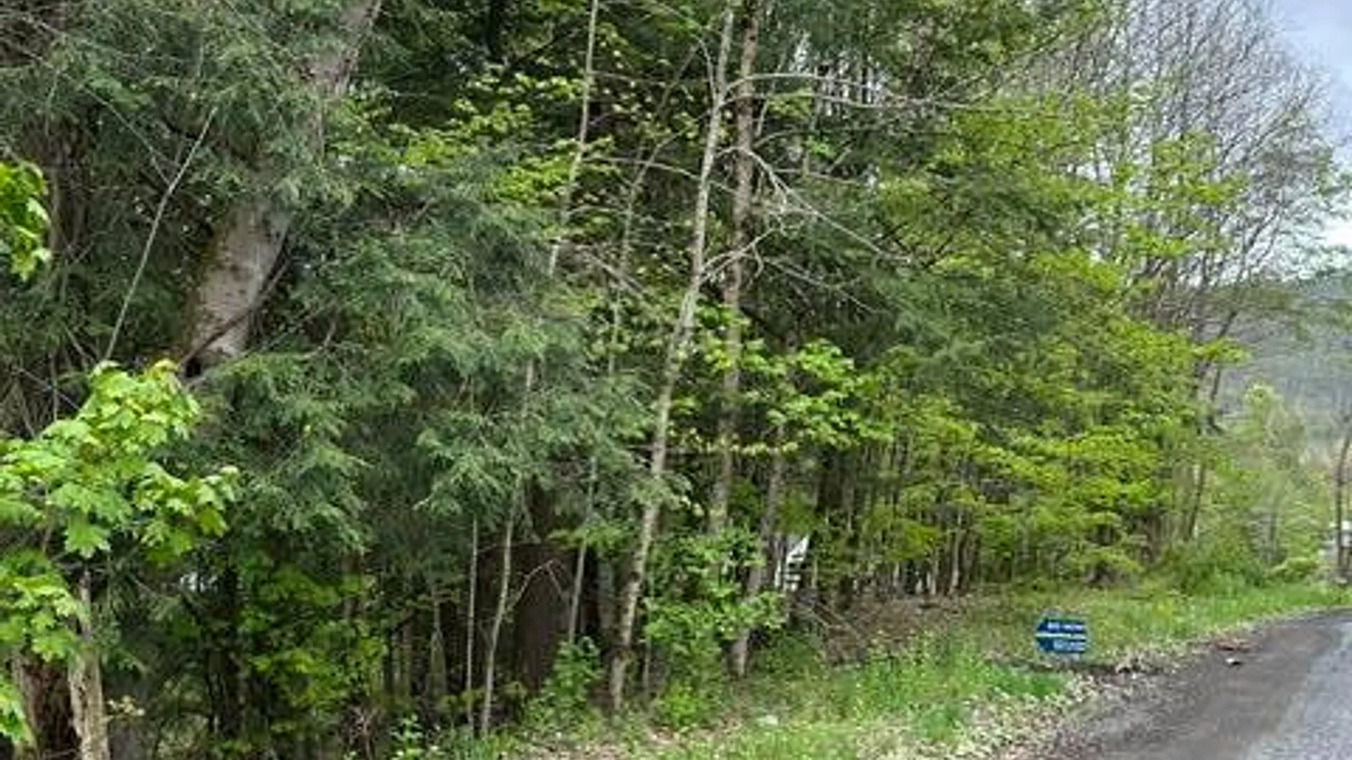 Property at 116 Oregon Rd, Butternuts, NY 13776 2