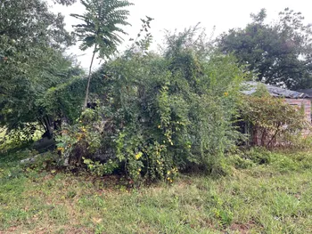 Property at 804 Dixie St, Blytheville, NY 72315