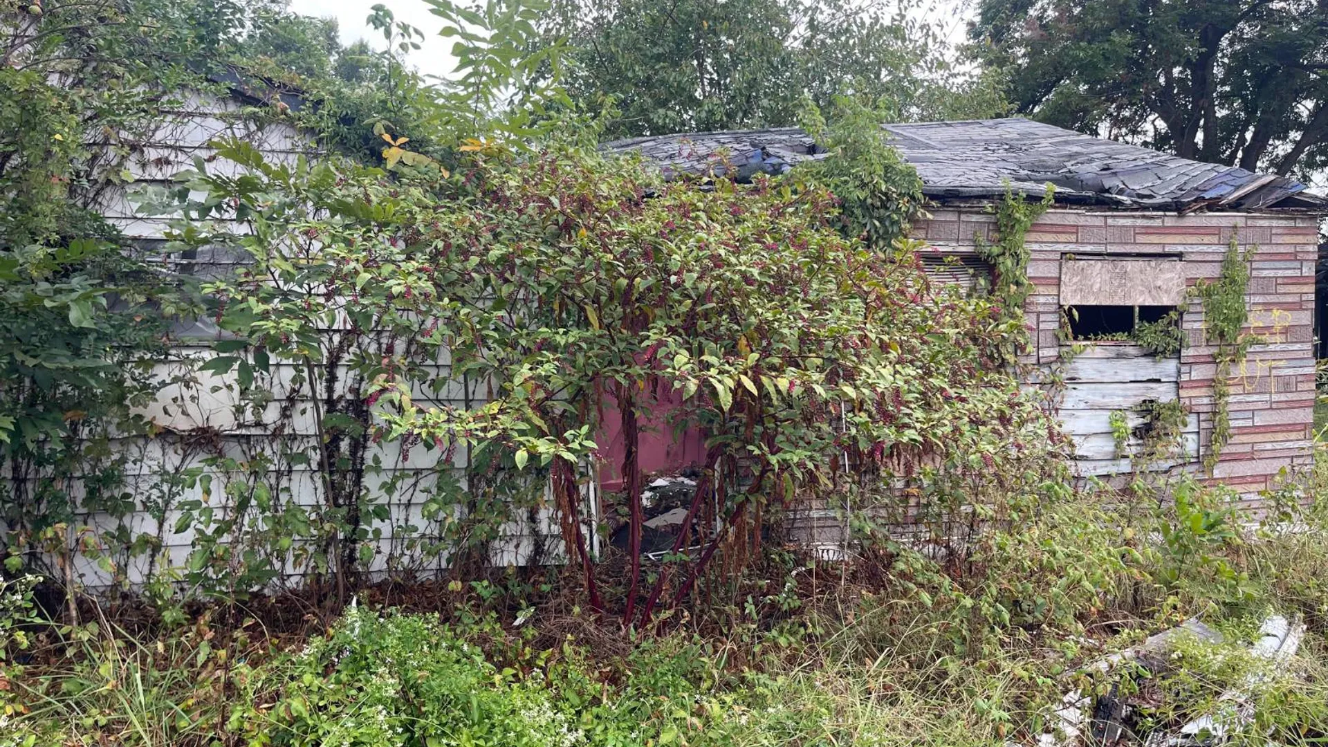Property at 804 Dixie St, Blytheville, NY 72315 2