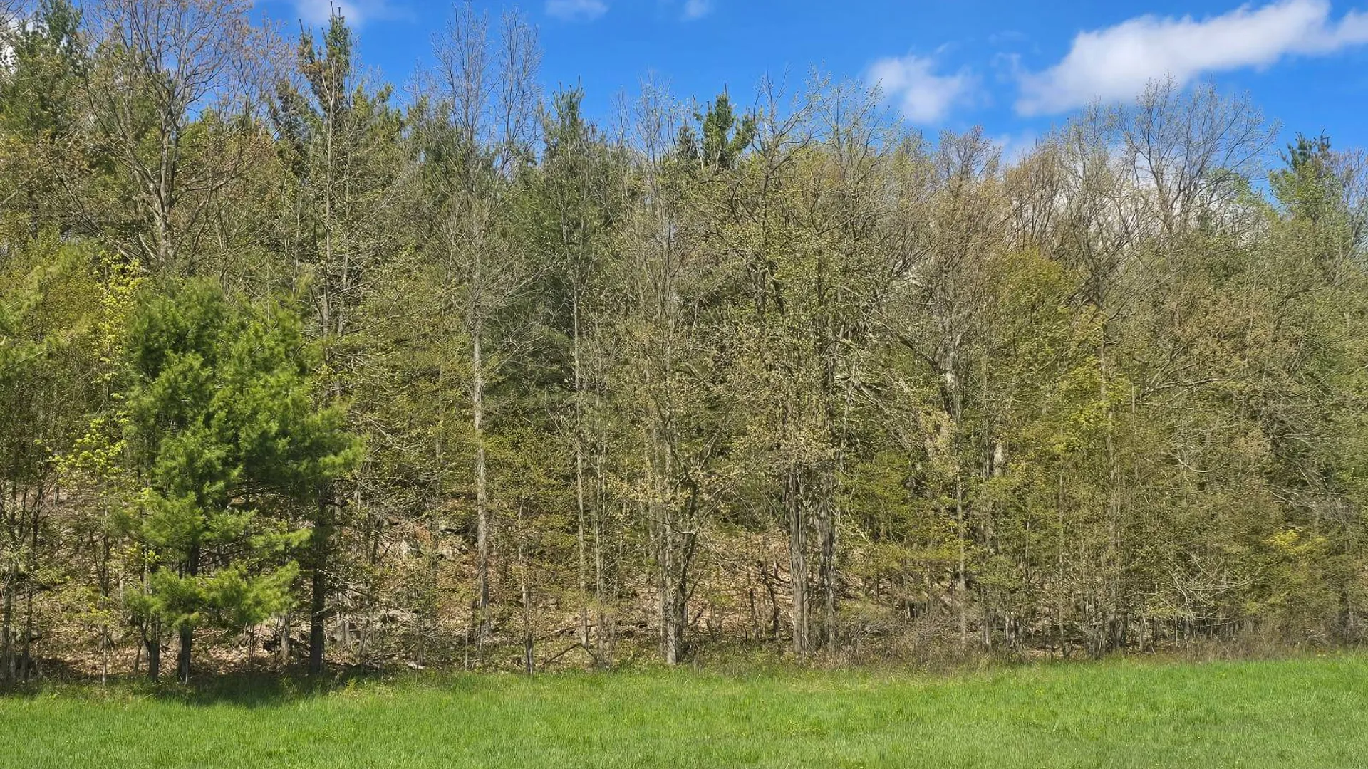 Property at 00 Cooper Rd, Hammond, NY 13646 4