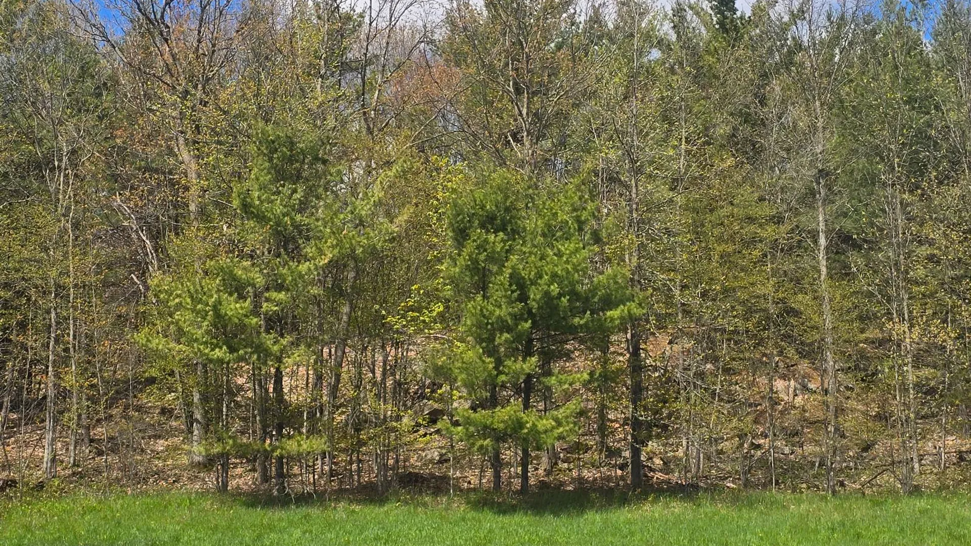 Property at 00 Cooper Rd, Hammond, NY 13646 9