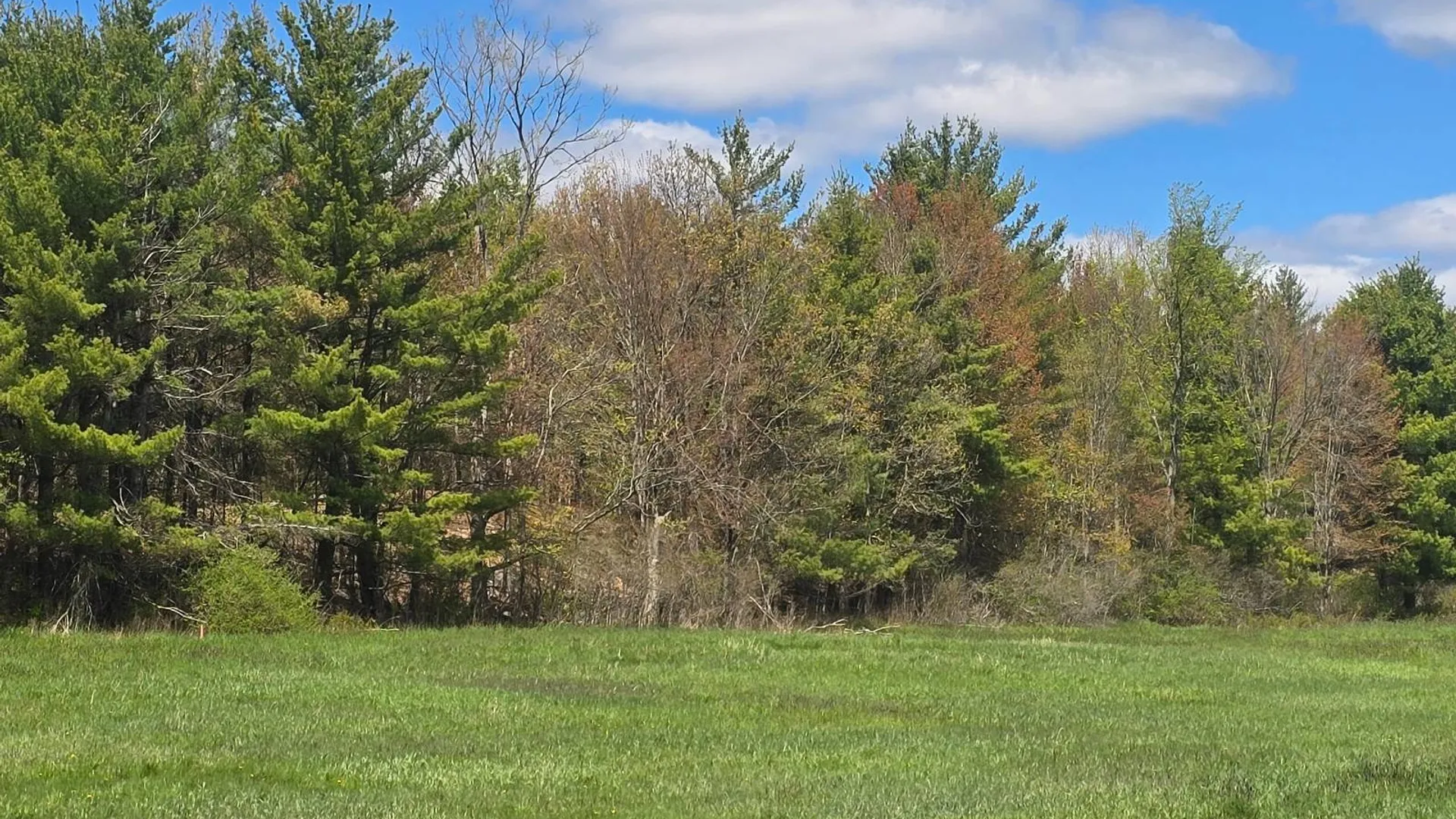 Property at 00 Cooper Rd, Hammond, NY 13646 5