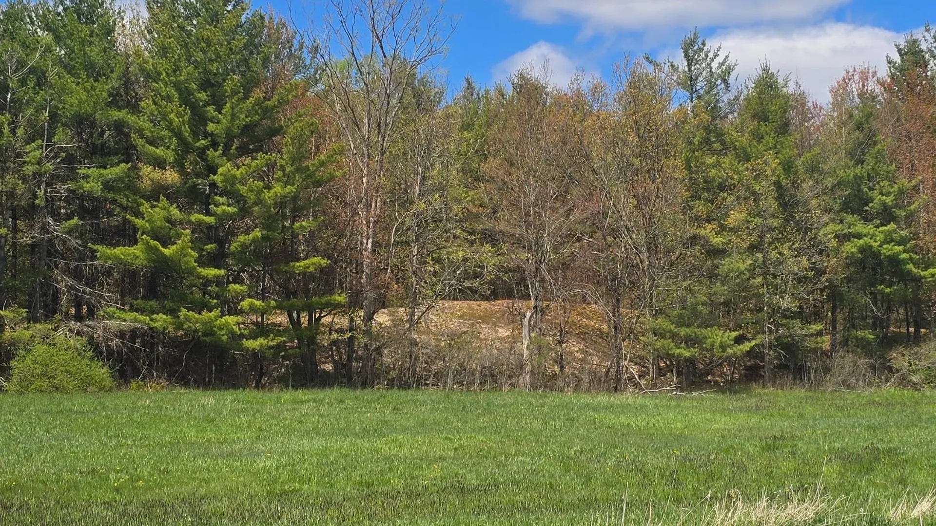 Property at 00 Cooper Rd, Hammond, NY 13646 9