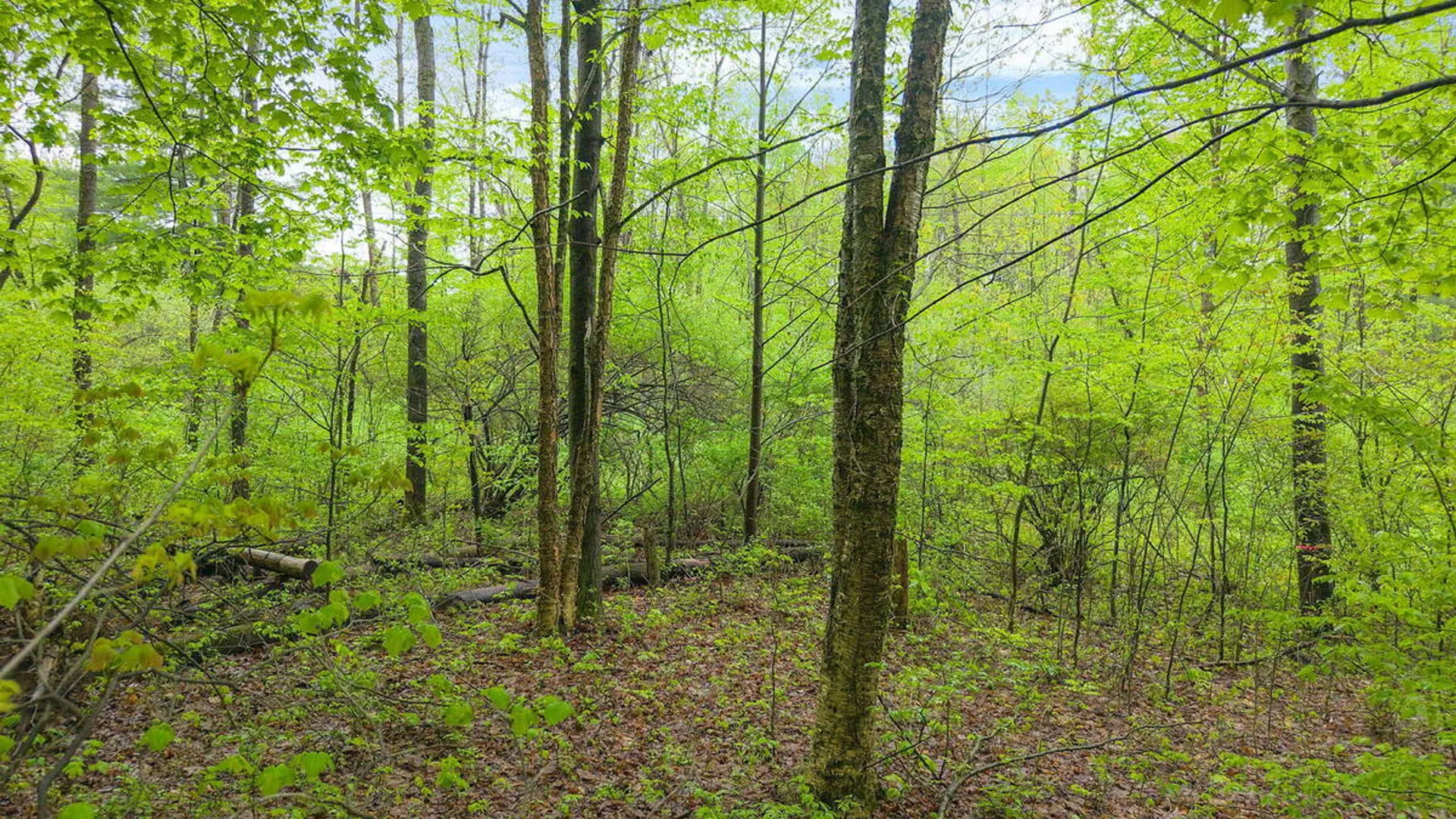 Property at L4.112 Rocky Ridge Road, Charlton, NY 12010 2