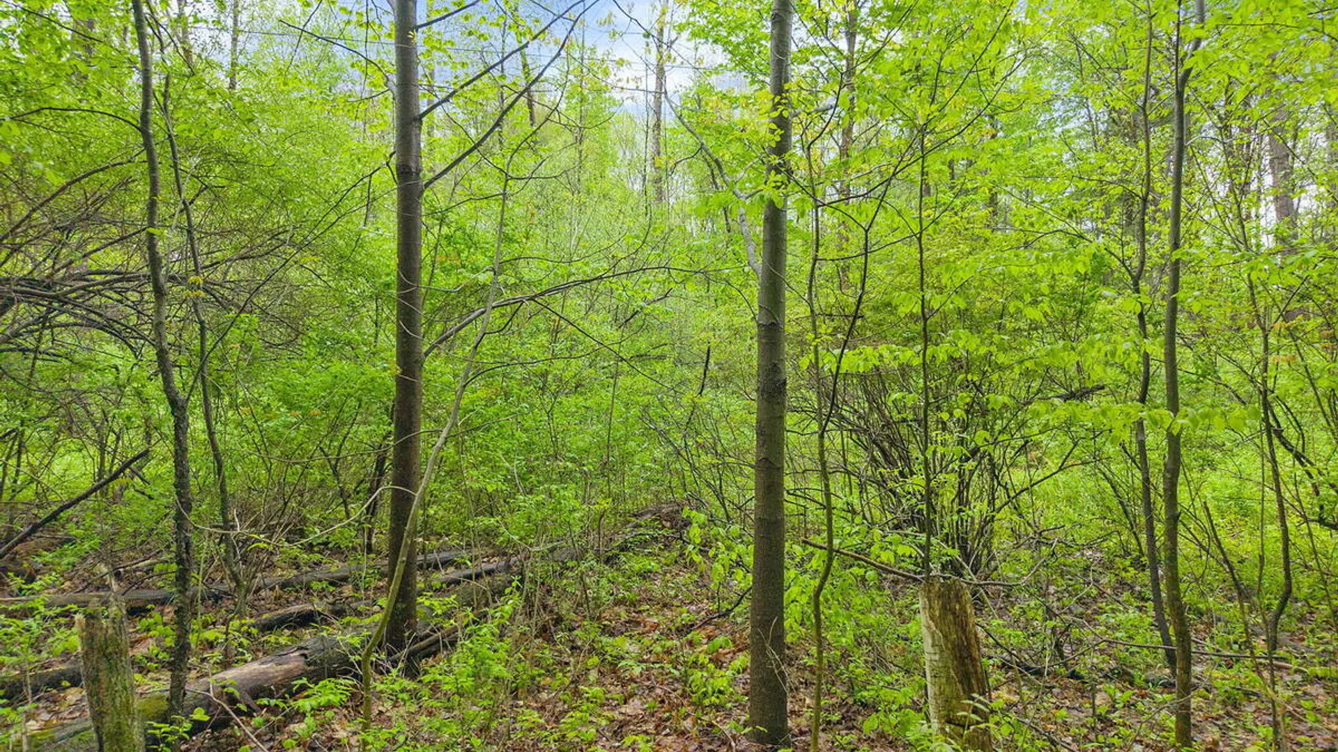 Property at L4.112 Rocky Ridge Road, Charlton, NY 12010 3