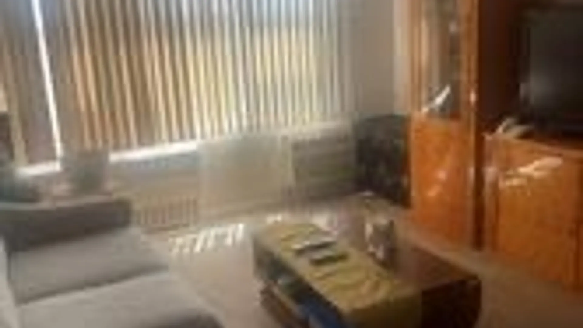 Property at 355 Bronx River Road, Yonkers, NY 10704 4