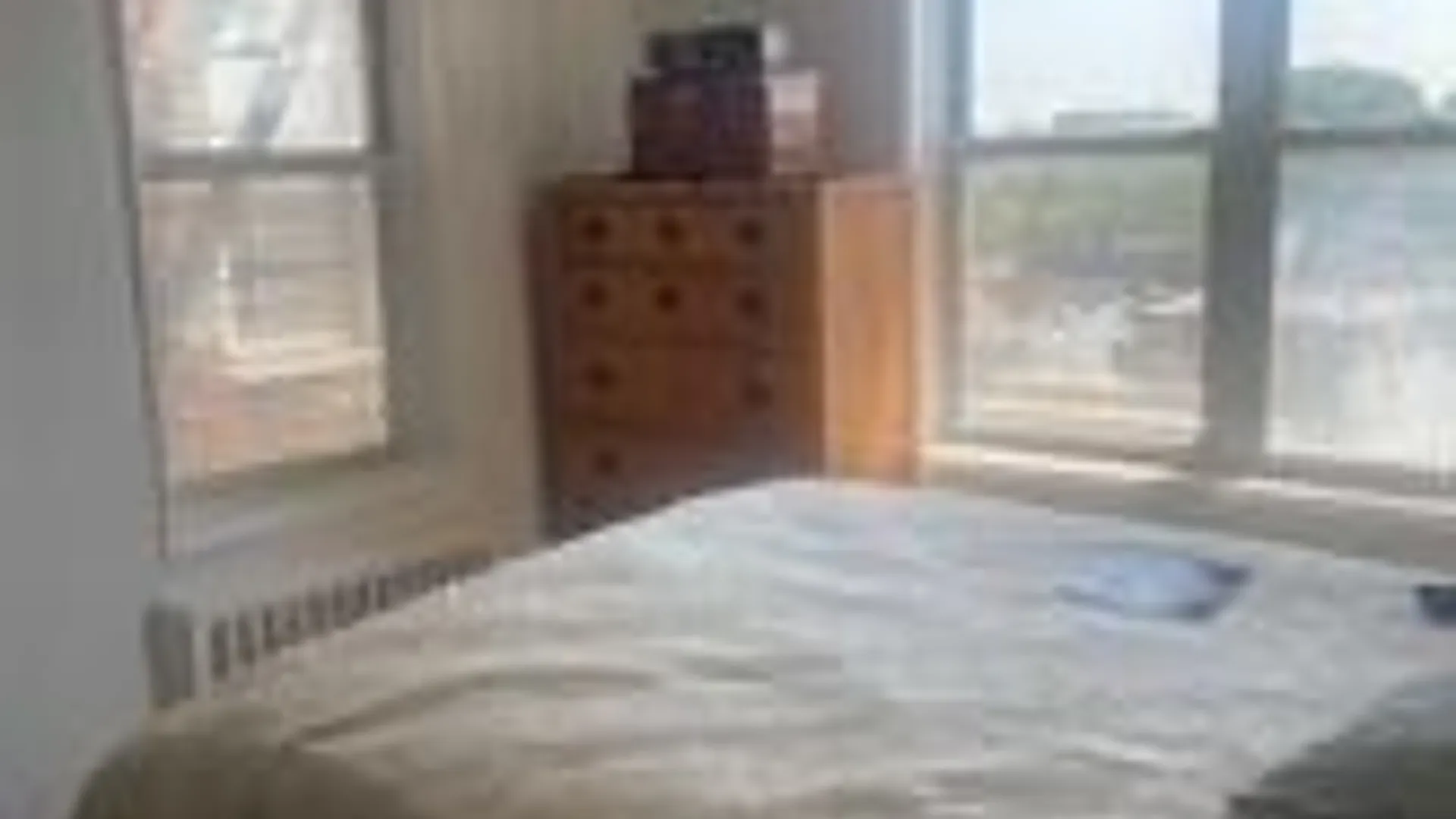 Property at 355 Bronx River Road, Yonkers, NY 10704 8