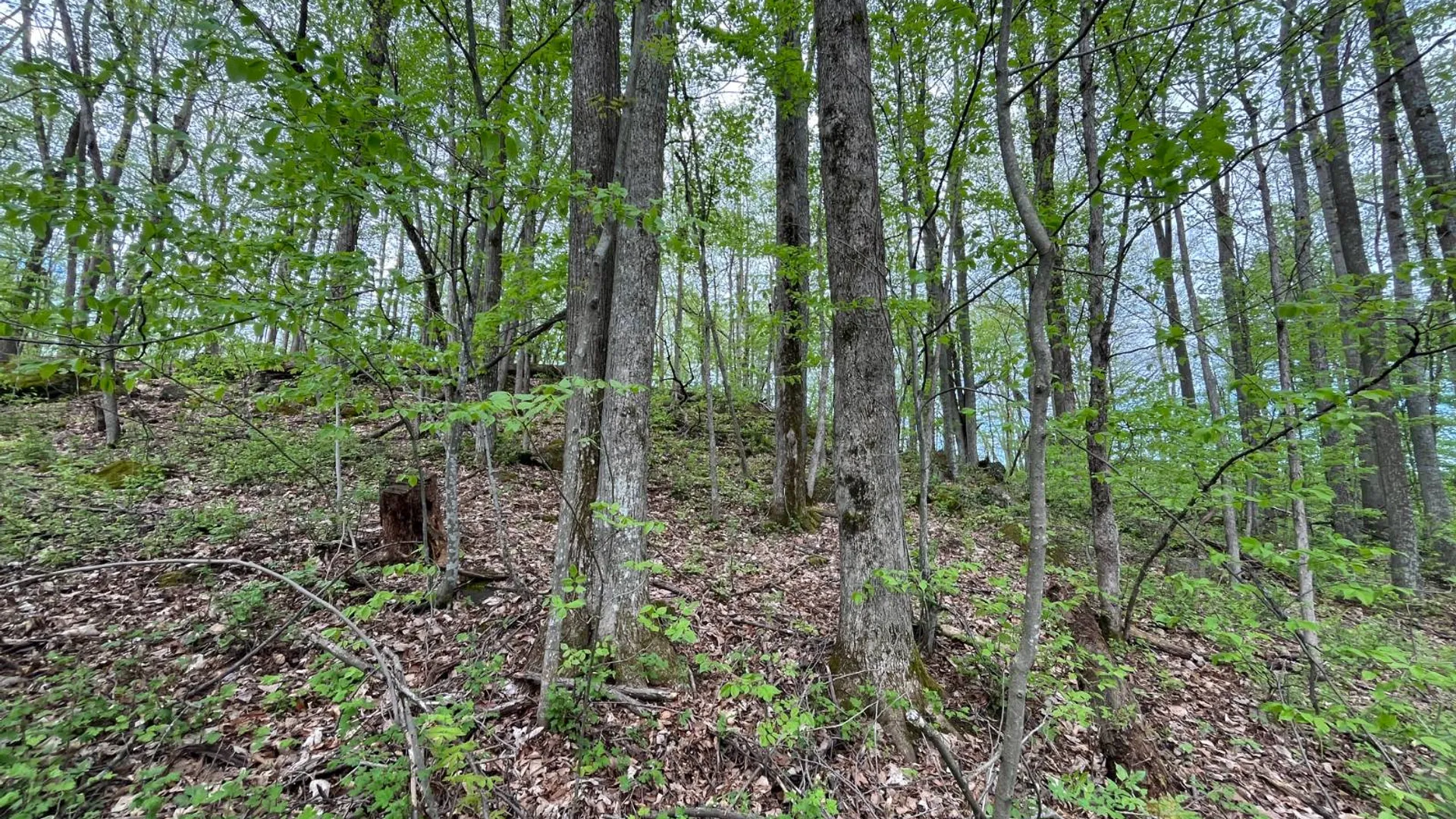 Property at 00 County Route 25, Russell, NY 13684 10
