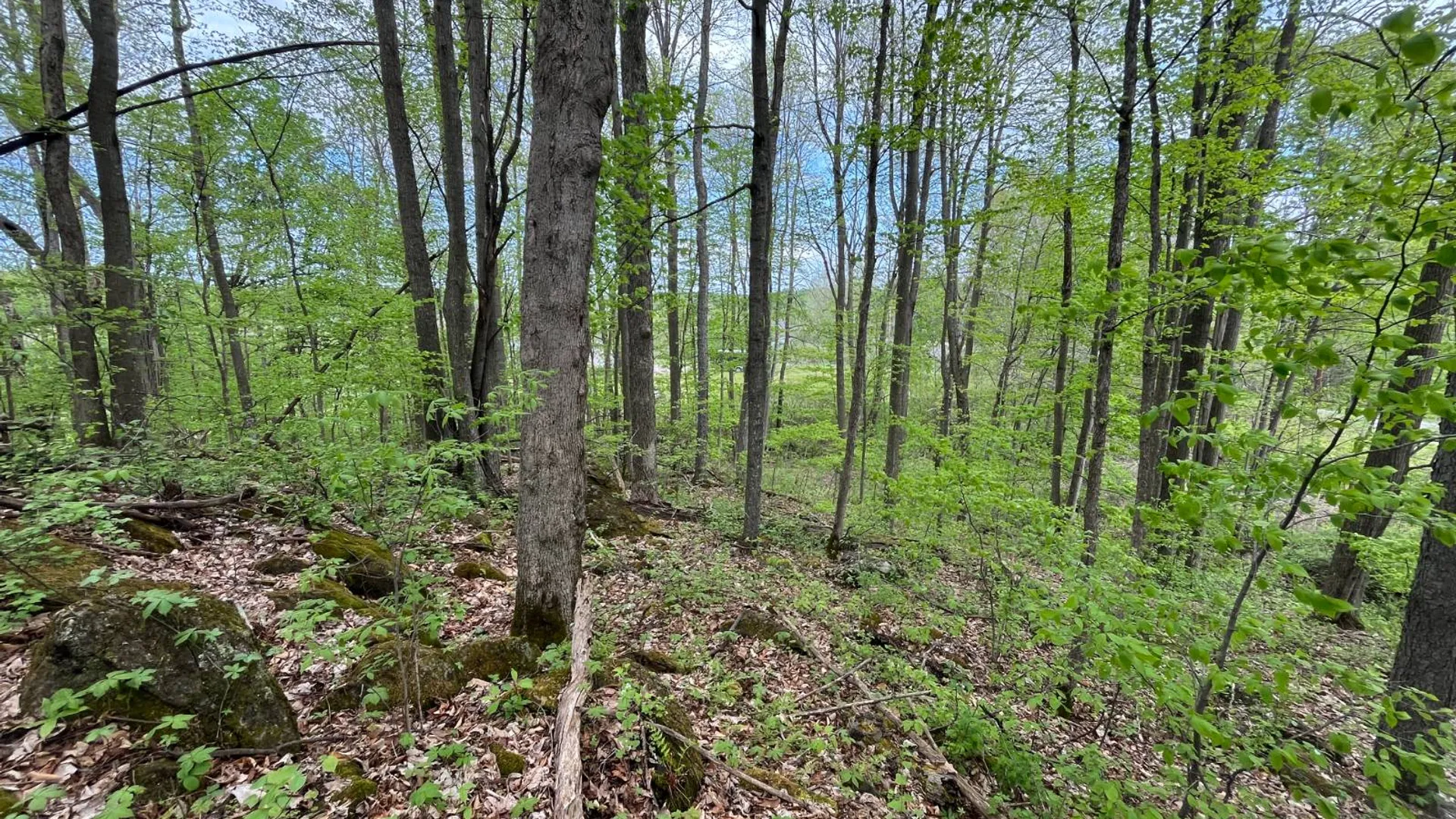 Property at 00 County Route 25, Russell, NY 13684 11