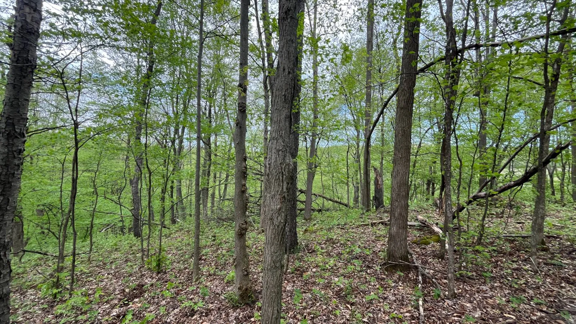 Property at 00 County Route 25, Russell, NY 13684 13
