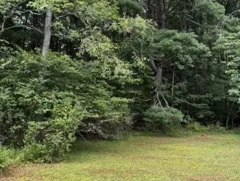 Property at 2615 N Nine Mile, Allegany, NY 14706