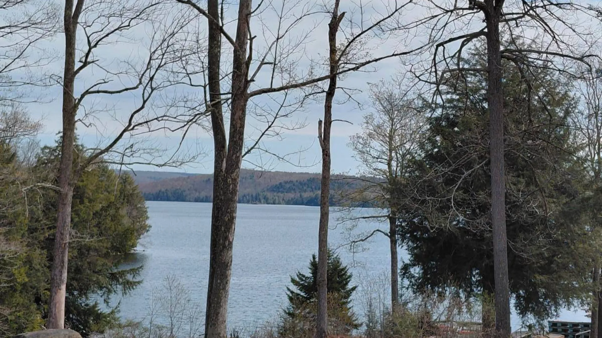 Property at 339 N Shore Peck Lake, Gloversville, NY 12078 30