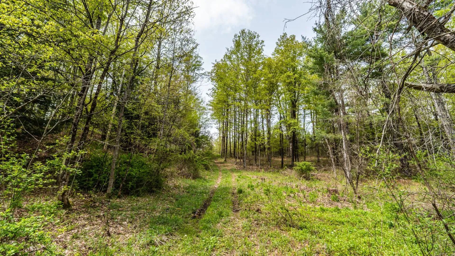 Property at 450 Long Road, East Berne, NY 12059 10