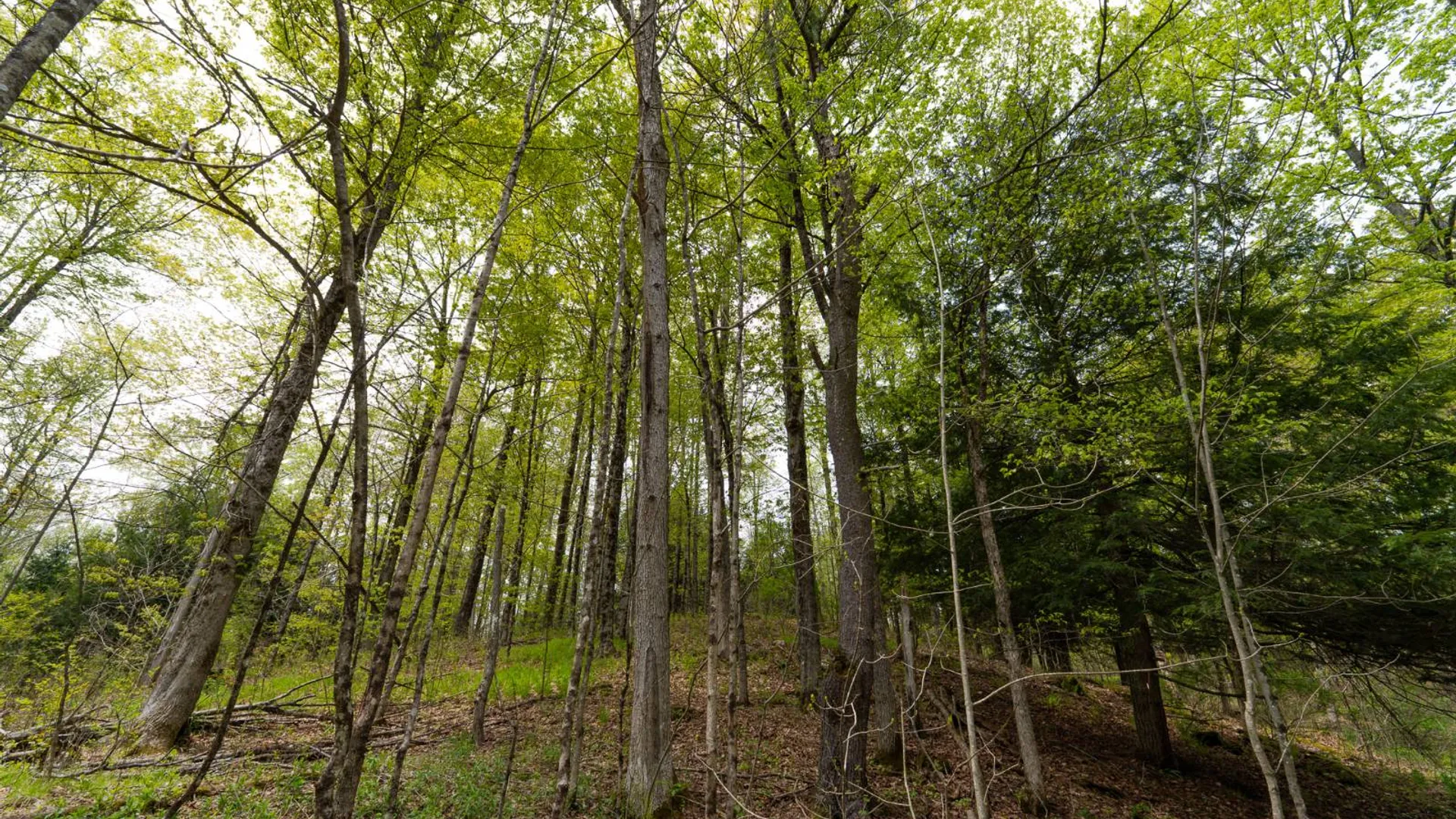 Property at 450 Long Road, East Berne, NY 12059 13