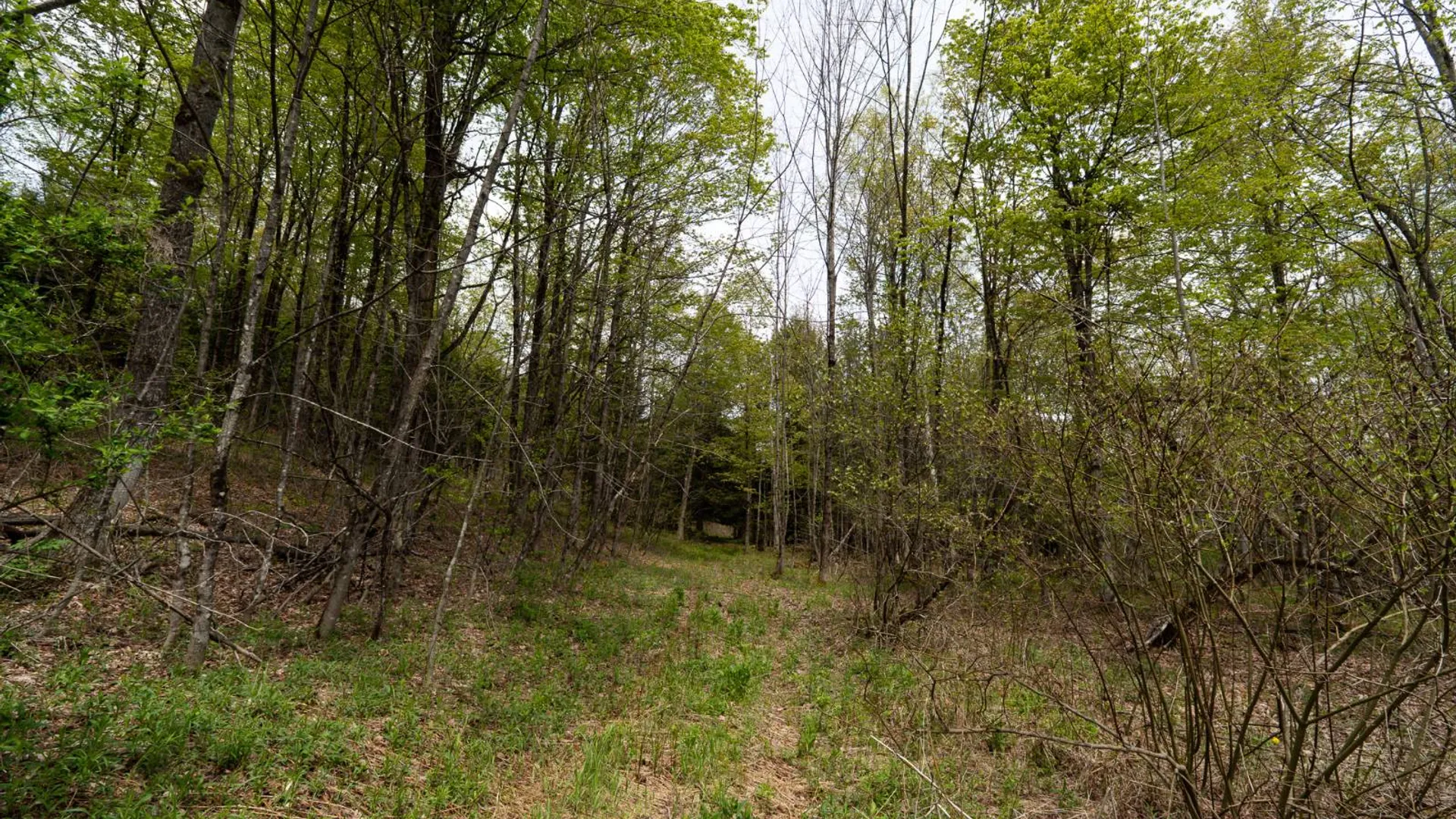 Property at 450 Long Road, East Berne, NY 12059 14