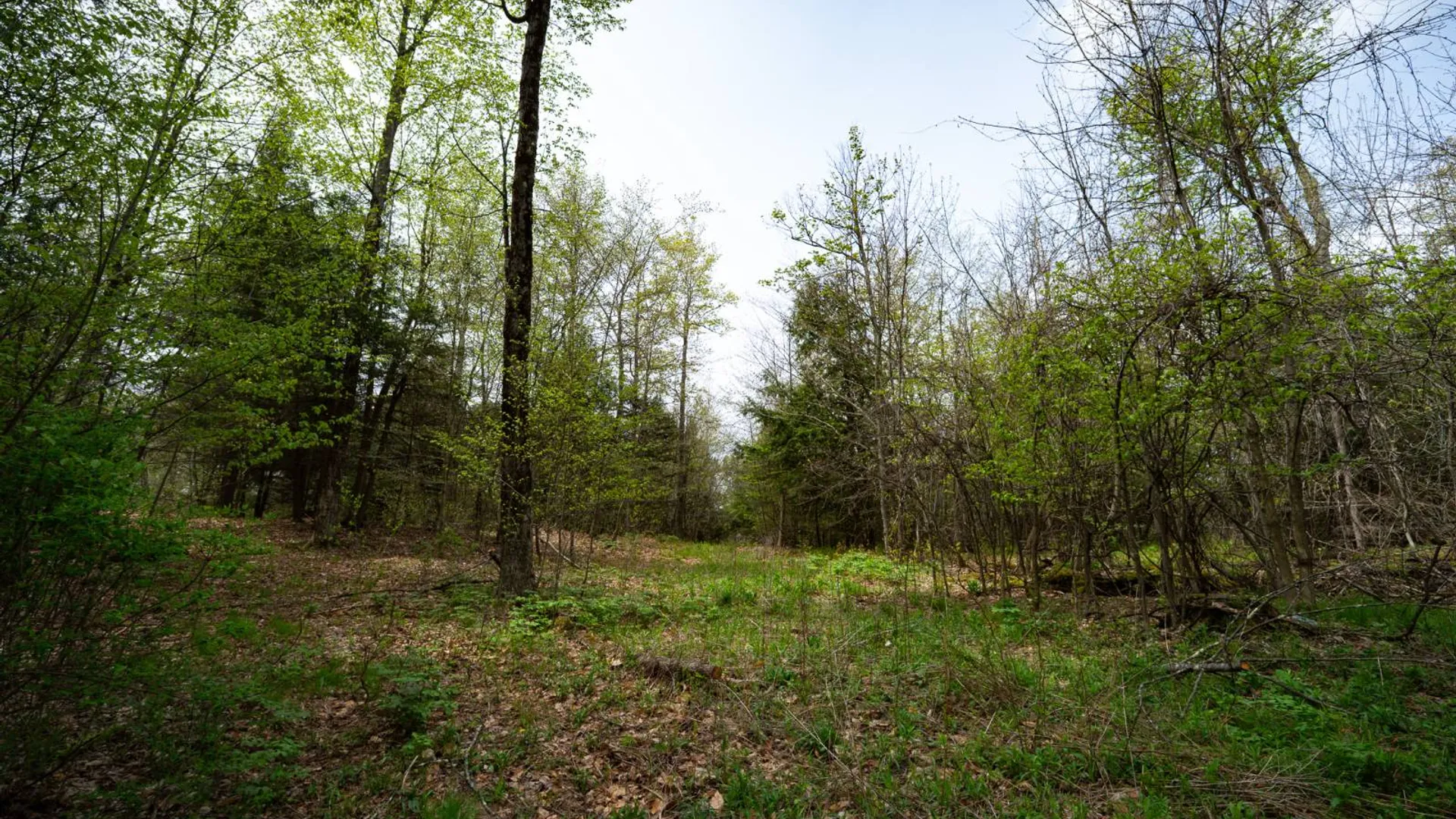 Property at 450 Long Road, East Berne, NY 12059 17