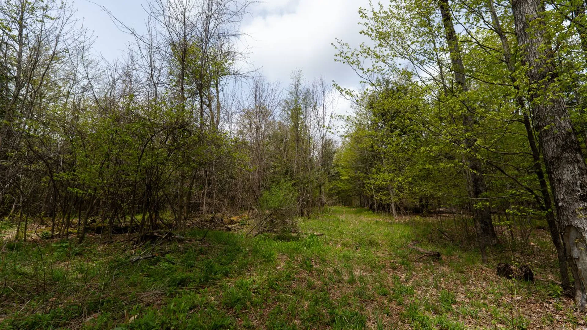 Property at 450 Long Road, East Berne, NY 12059 18