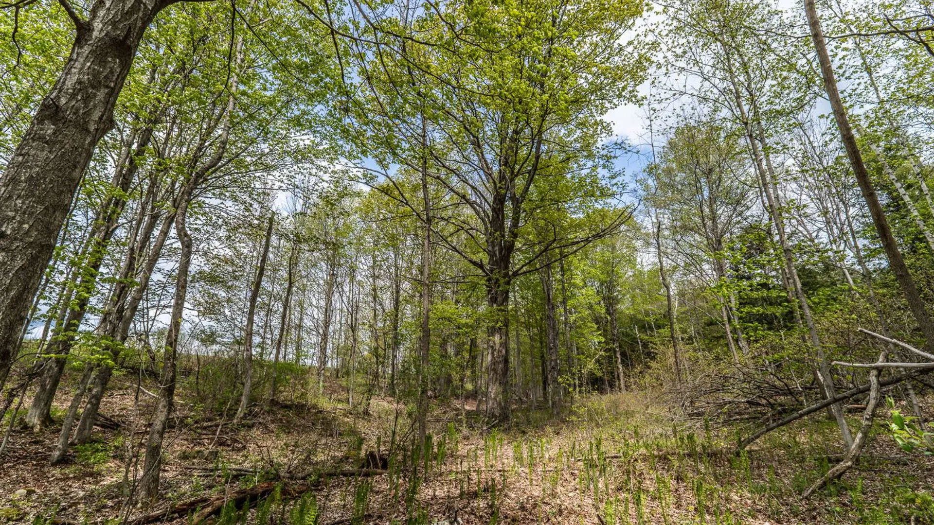 Property at 450 Long Road, East Berne, NY 12059 24