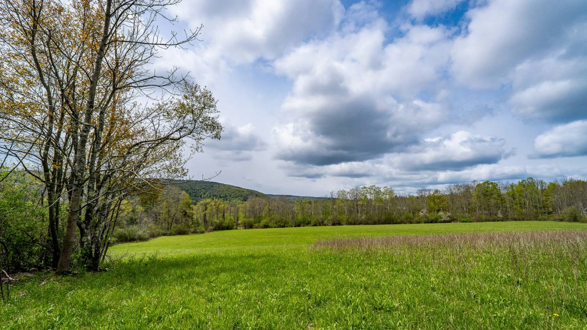 Property at 450 Long Road, East Berne, NY 12059 25