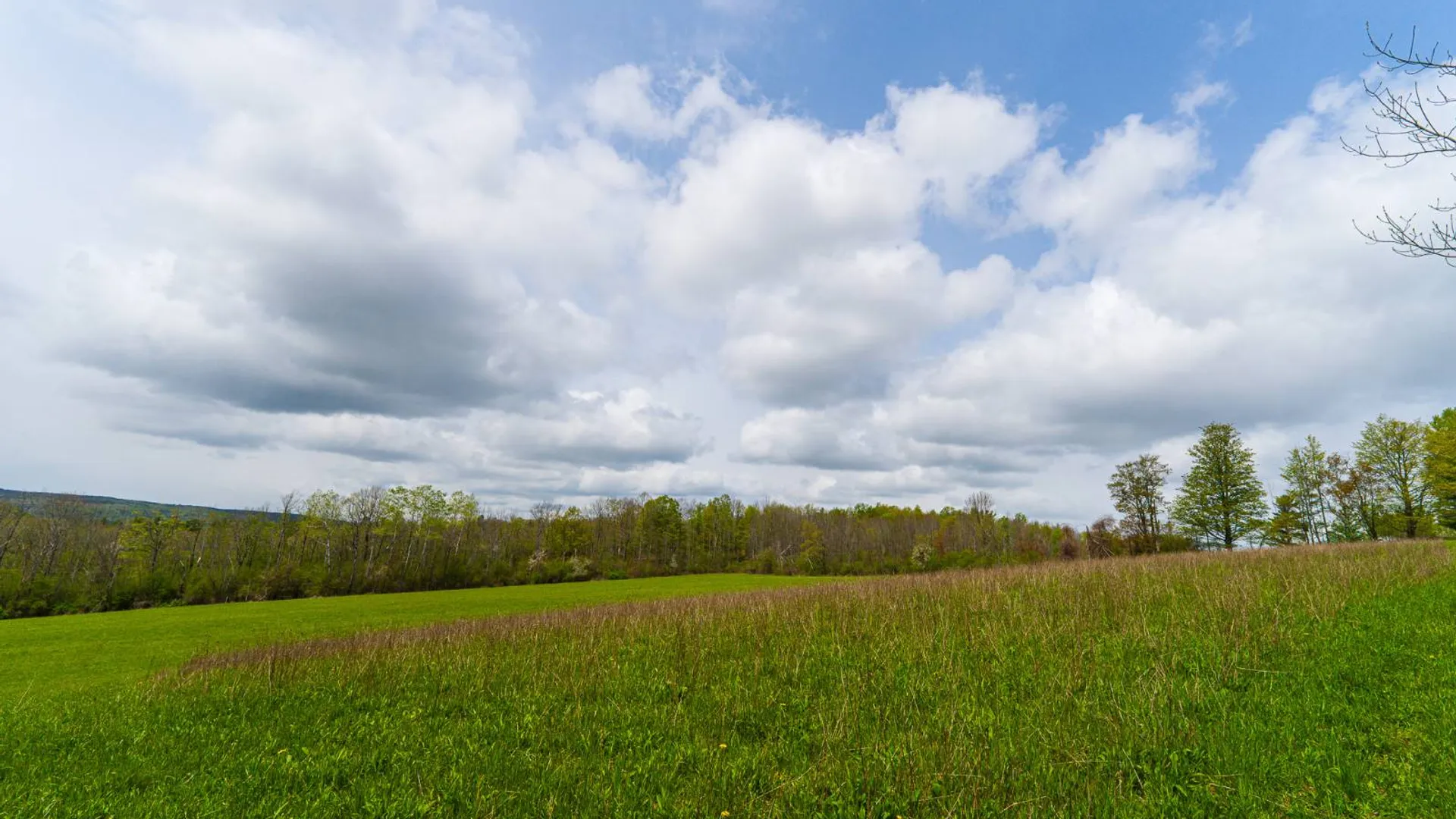 Property at 450 Long Road, East Berne, NY 12059 26