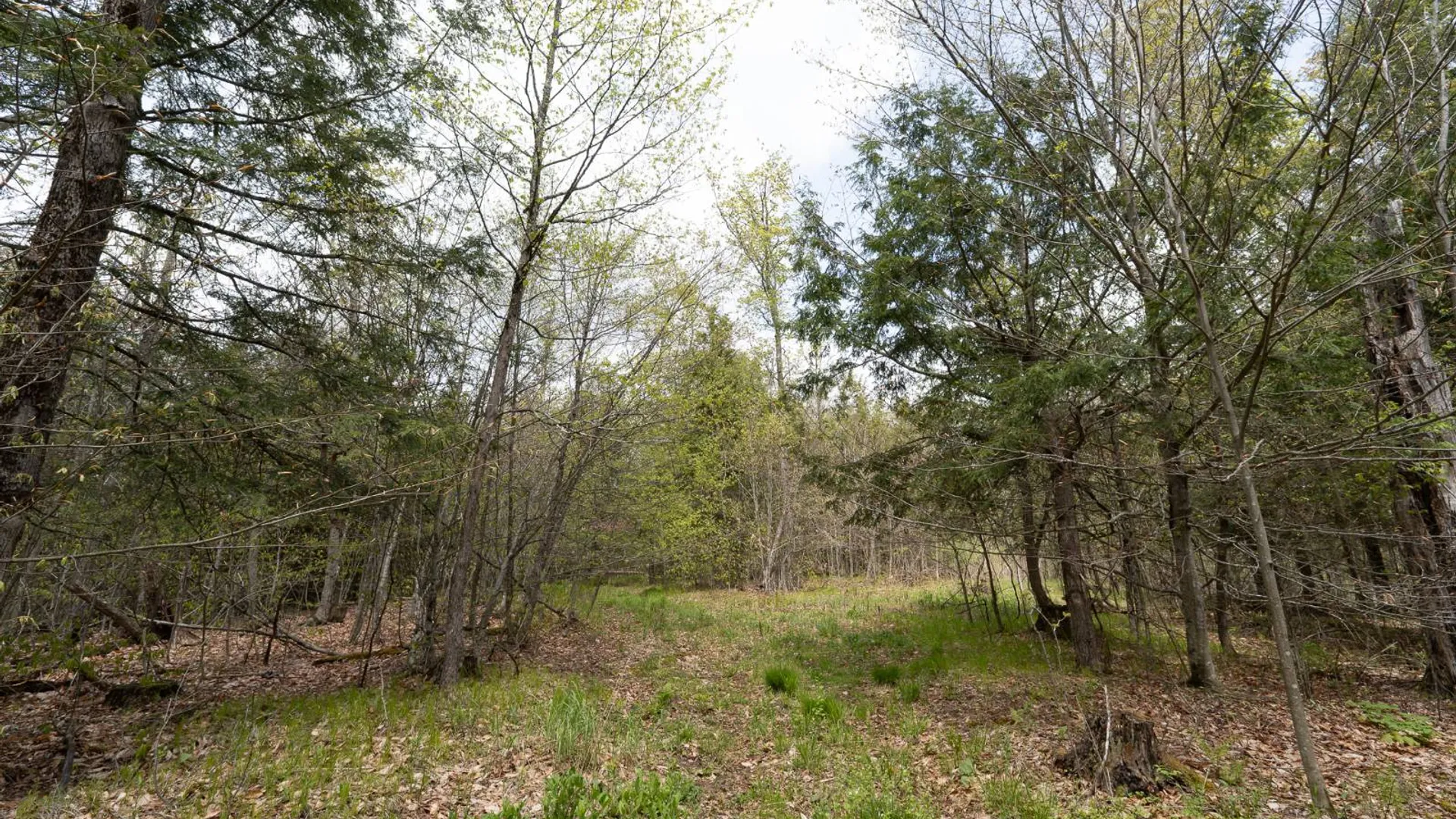 Property at 450 Long Road, East Berne, NY 12059 29