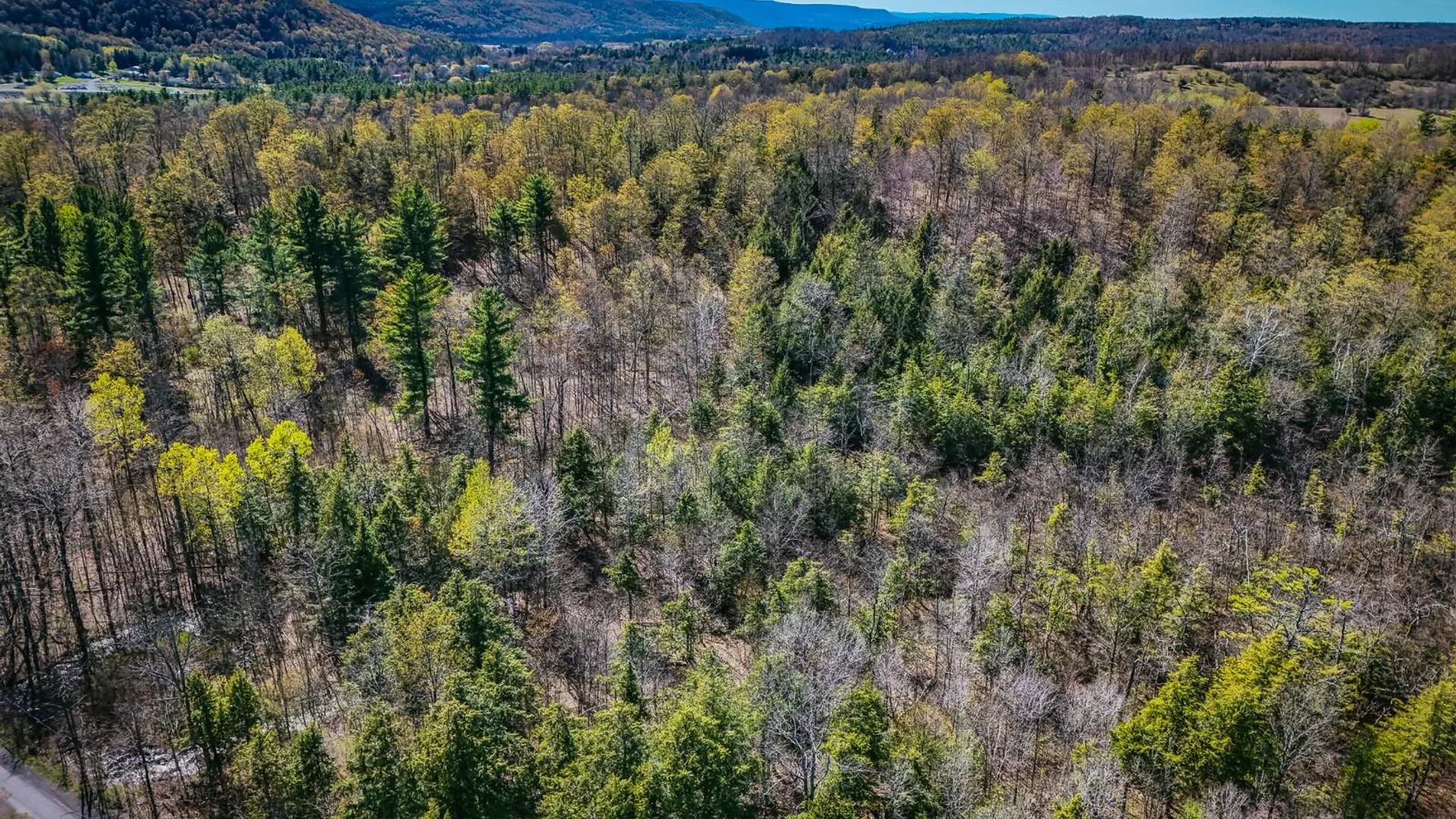Property at 450 Long Road, East Berne, NY 12059 3