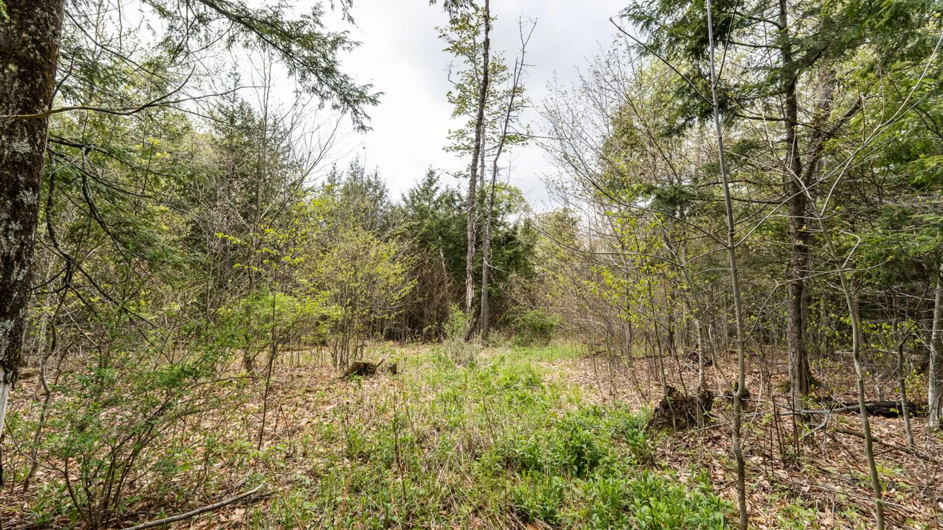 Property at 450 Long Road, East Berne, NY 12059 30