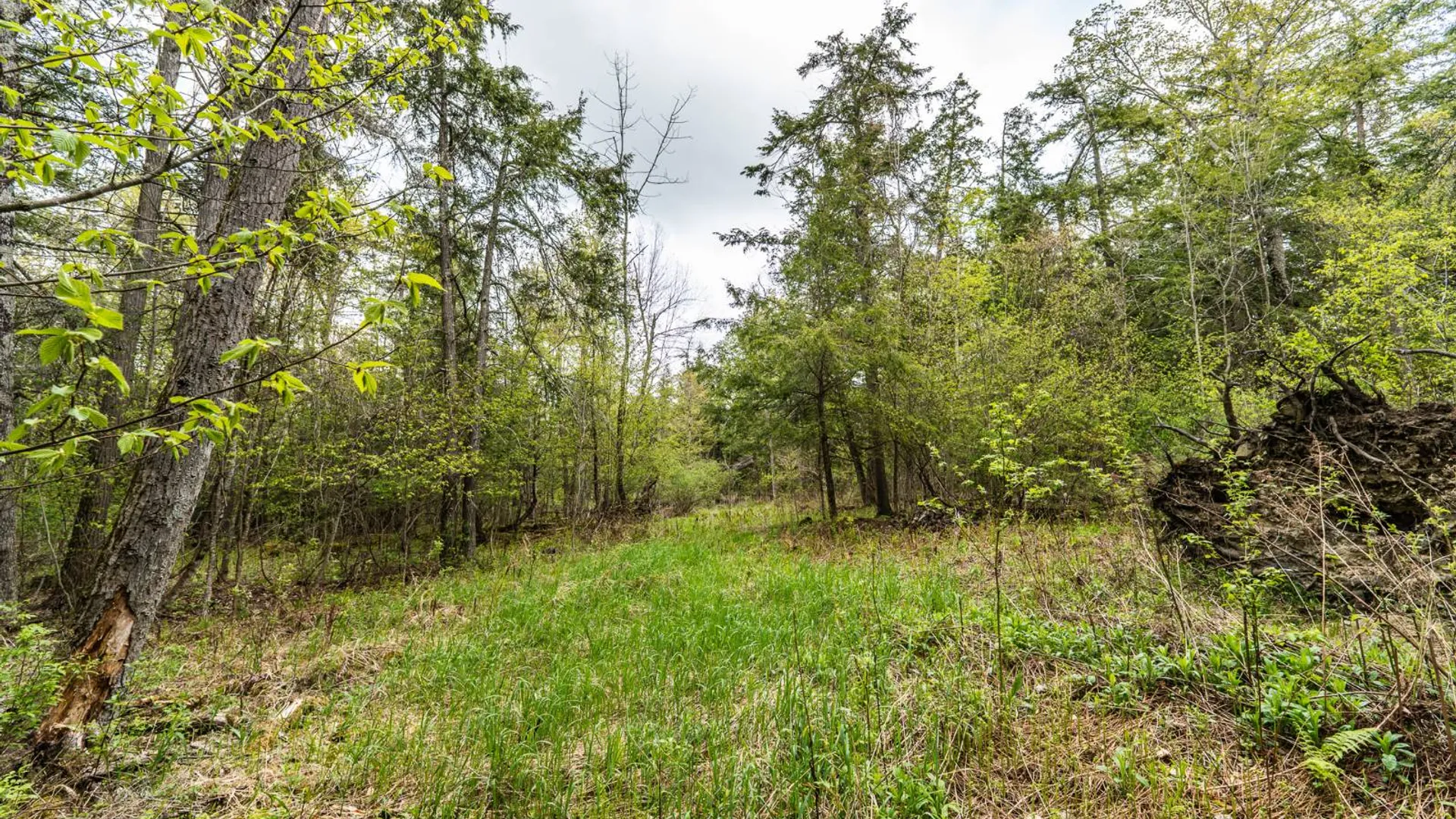 Property at 450 Long Road, East Berne, NY 12059 35
