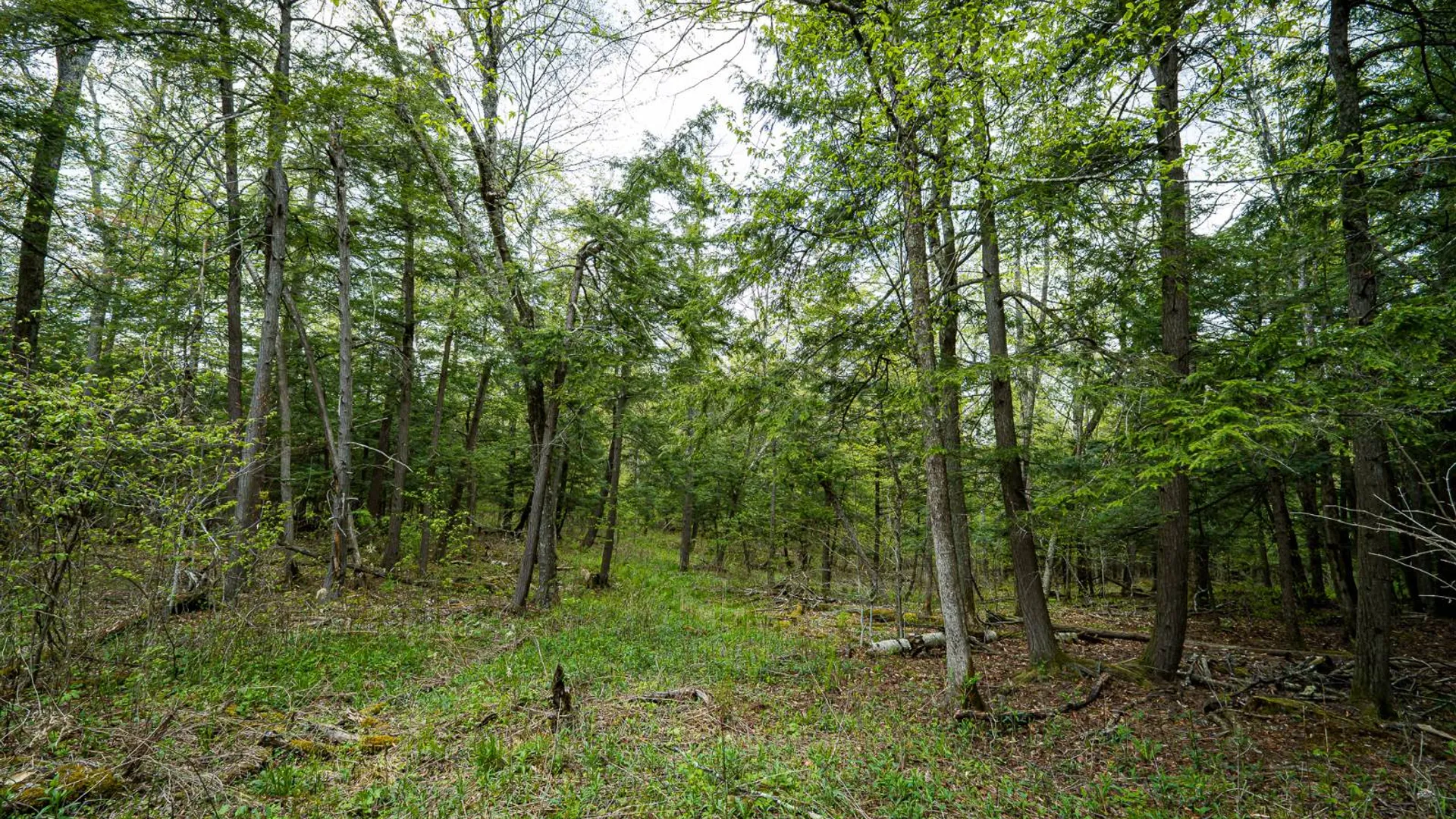 Property at 450 Long Road, East Berne, NY 12059 36