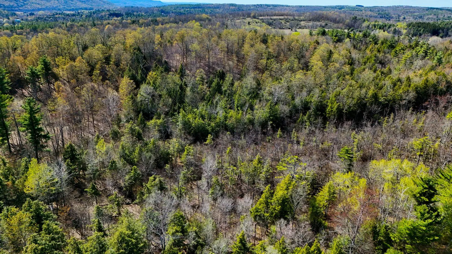 Property at 450 Long Road, East Berne, NY 12059 4