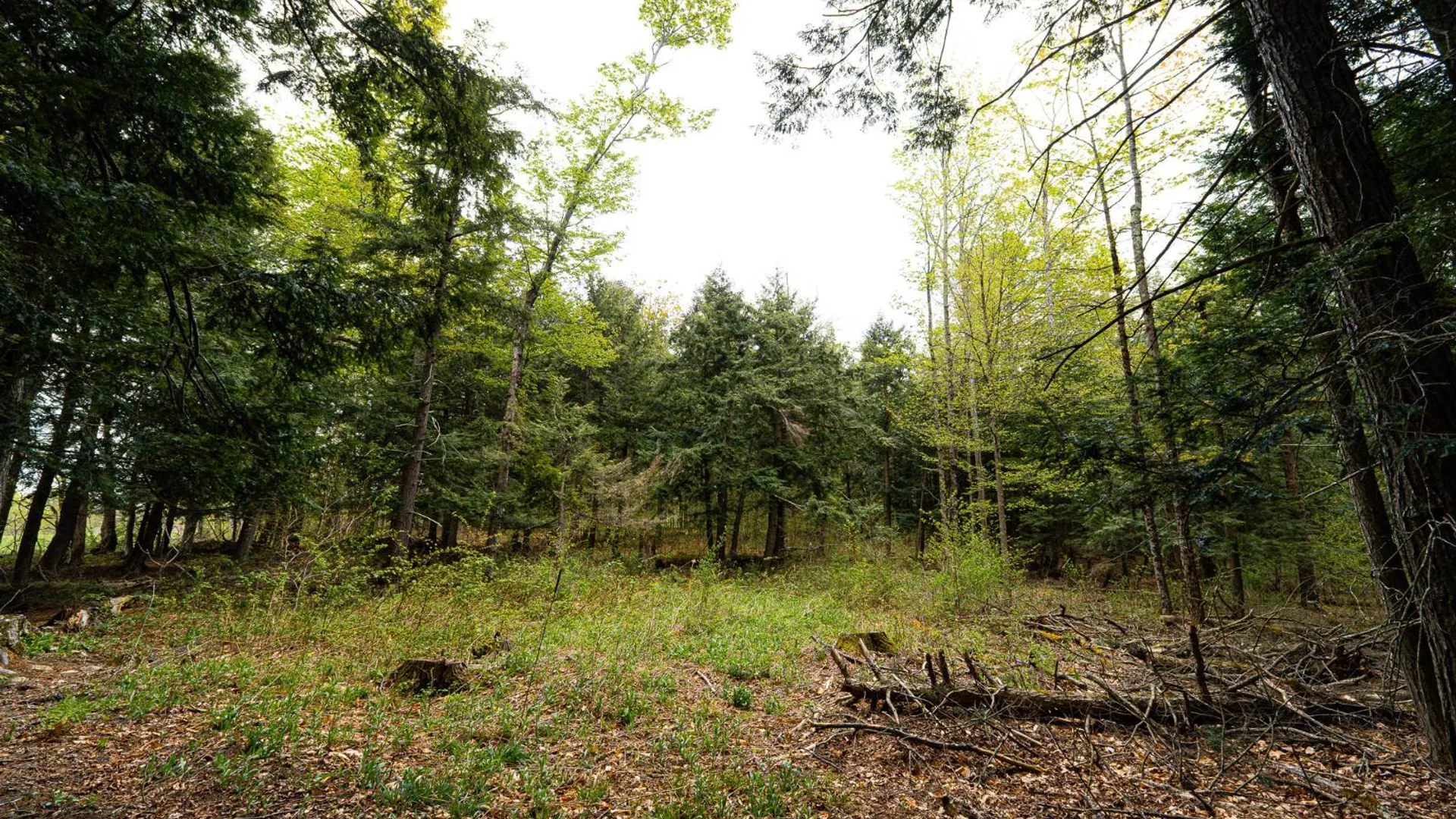 Property at 450 Long Road, East Berne, NY 12059 42