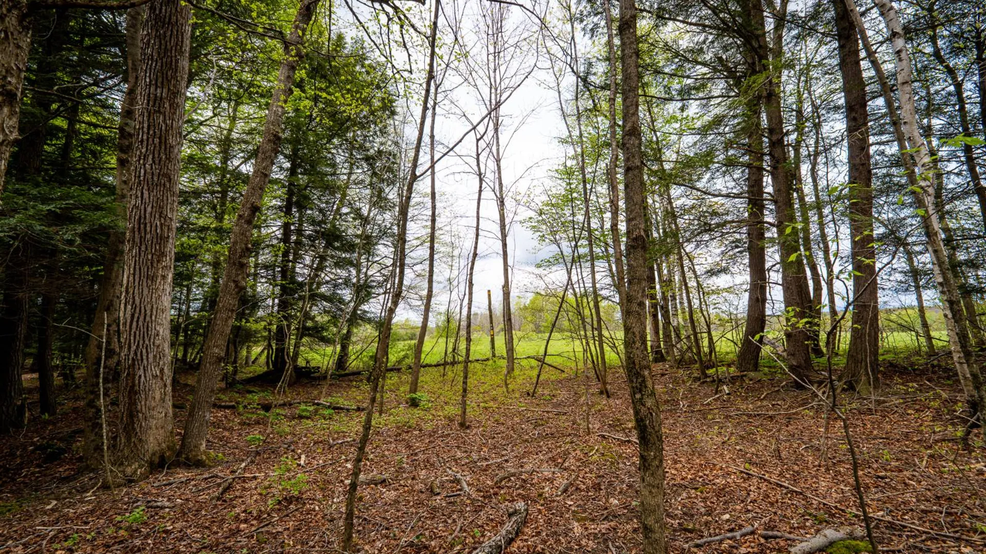 Property at 450 Long Road, East Berne, NY 12059 44