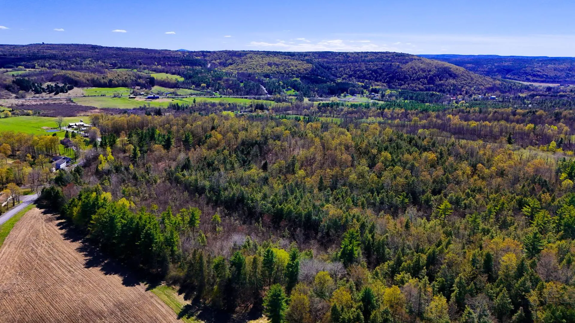 Property at 450 Long Road, East Berne, NY 12059 5