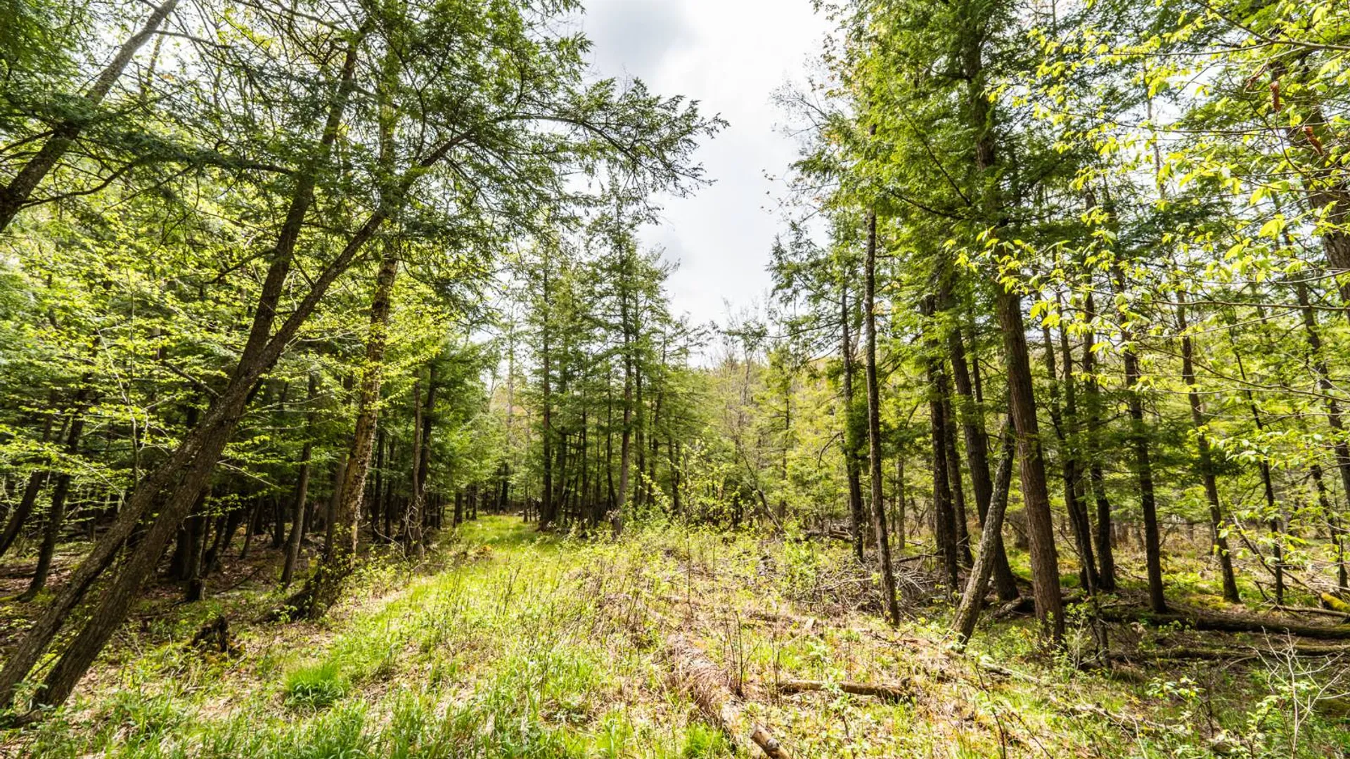 Property at 450 Long Road, East Berne, NY 12059 51