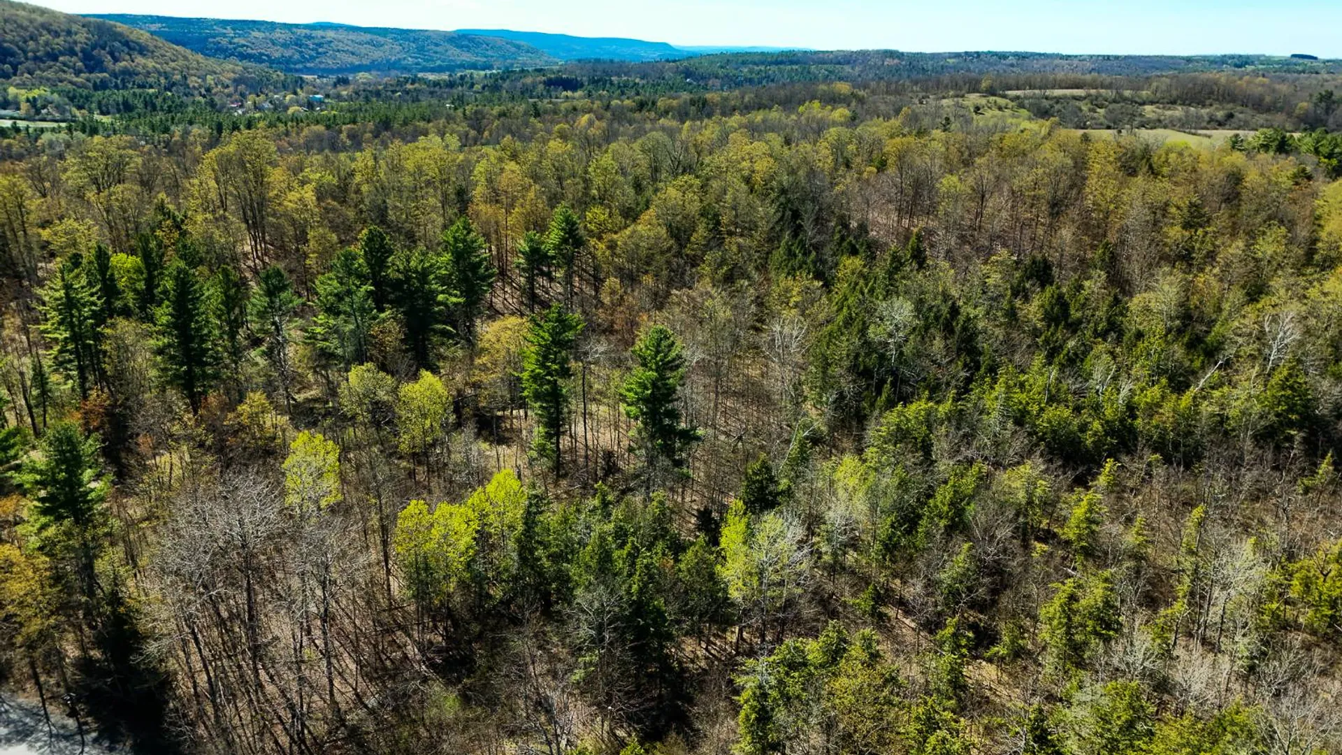 Property at 450 Long Road, East Berne, NY 12059 6