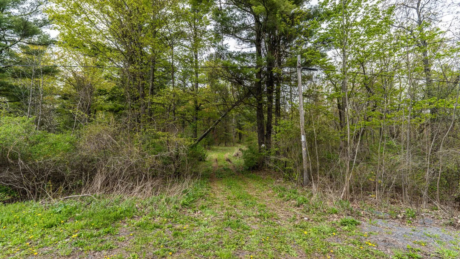 Property at 450 Long Road, East Berne, NY 12059 7