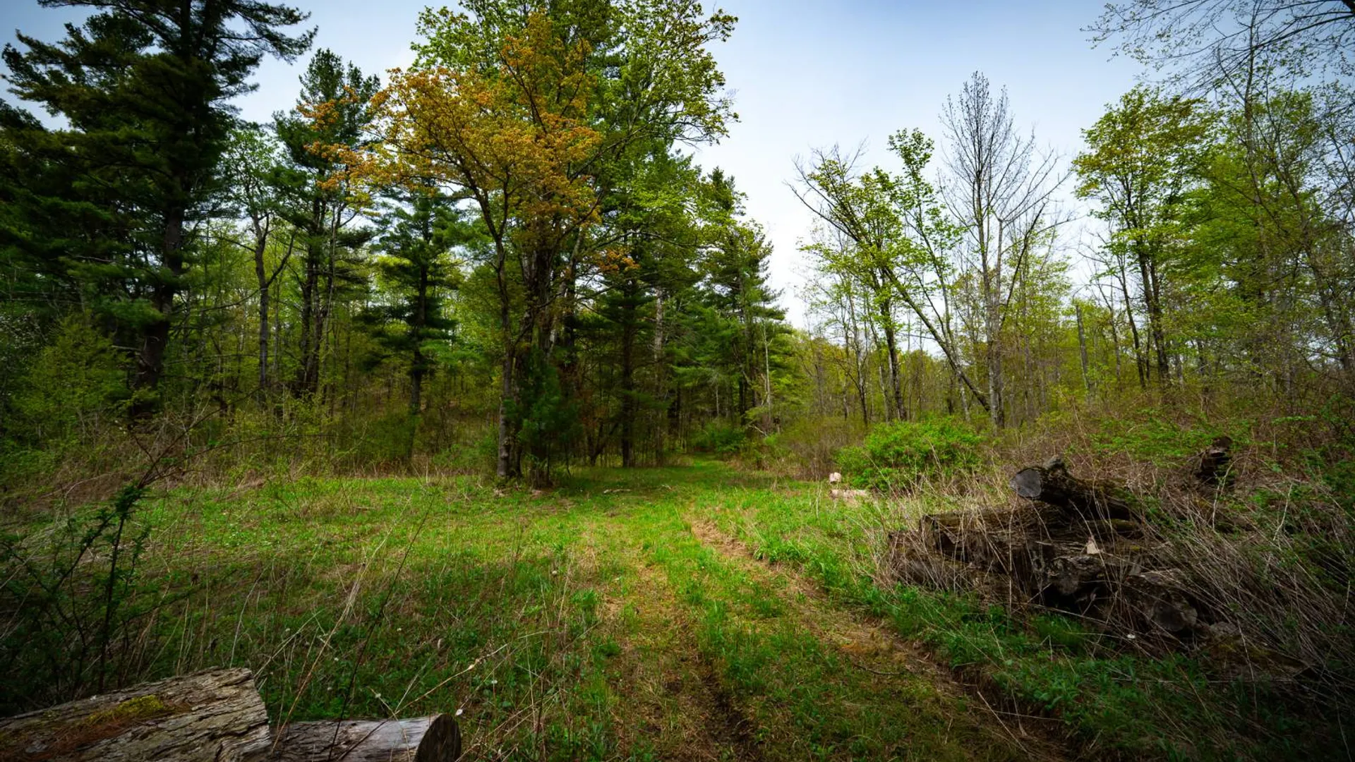 Property at 450 Long Road, East Berne, NY 12059 9
